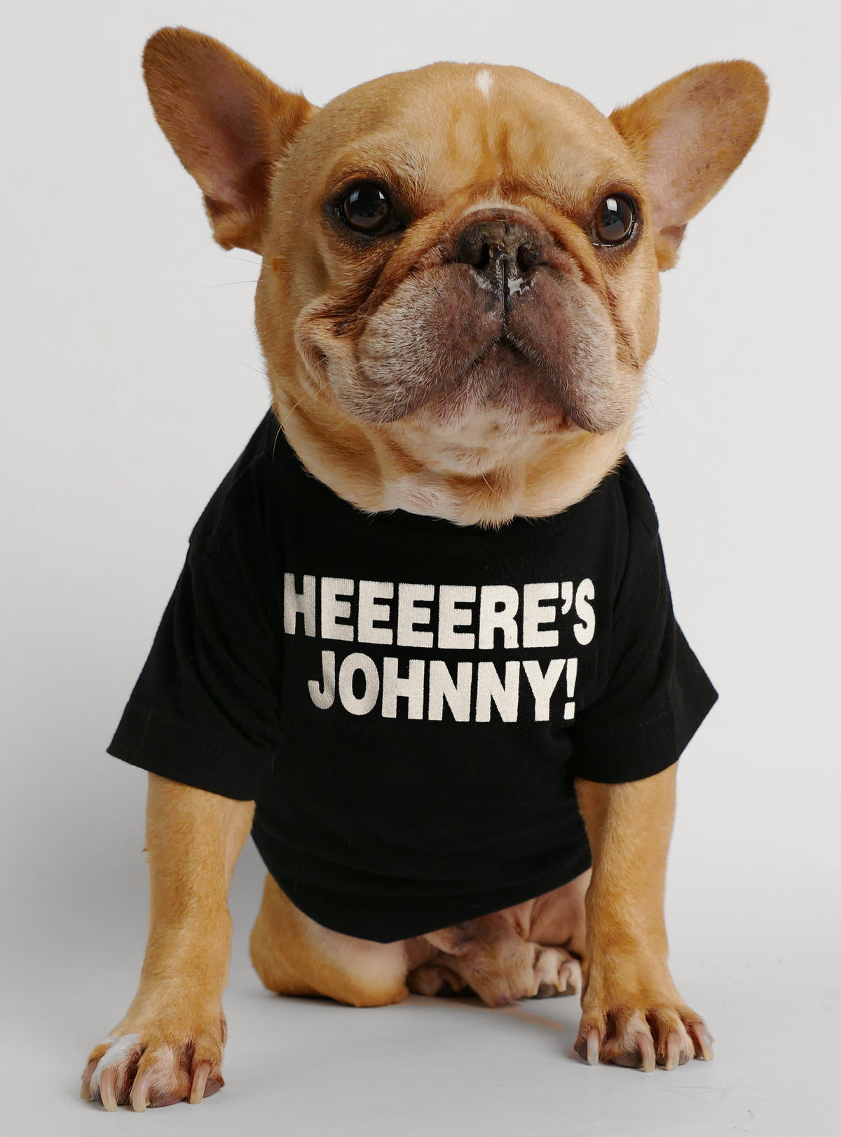 Here&#39;s Johnny Dog Tee