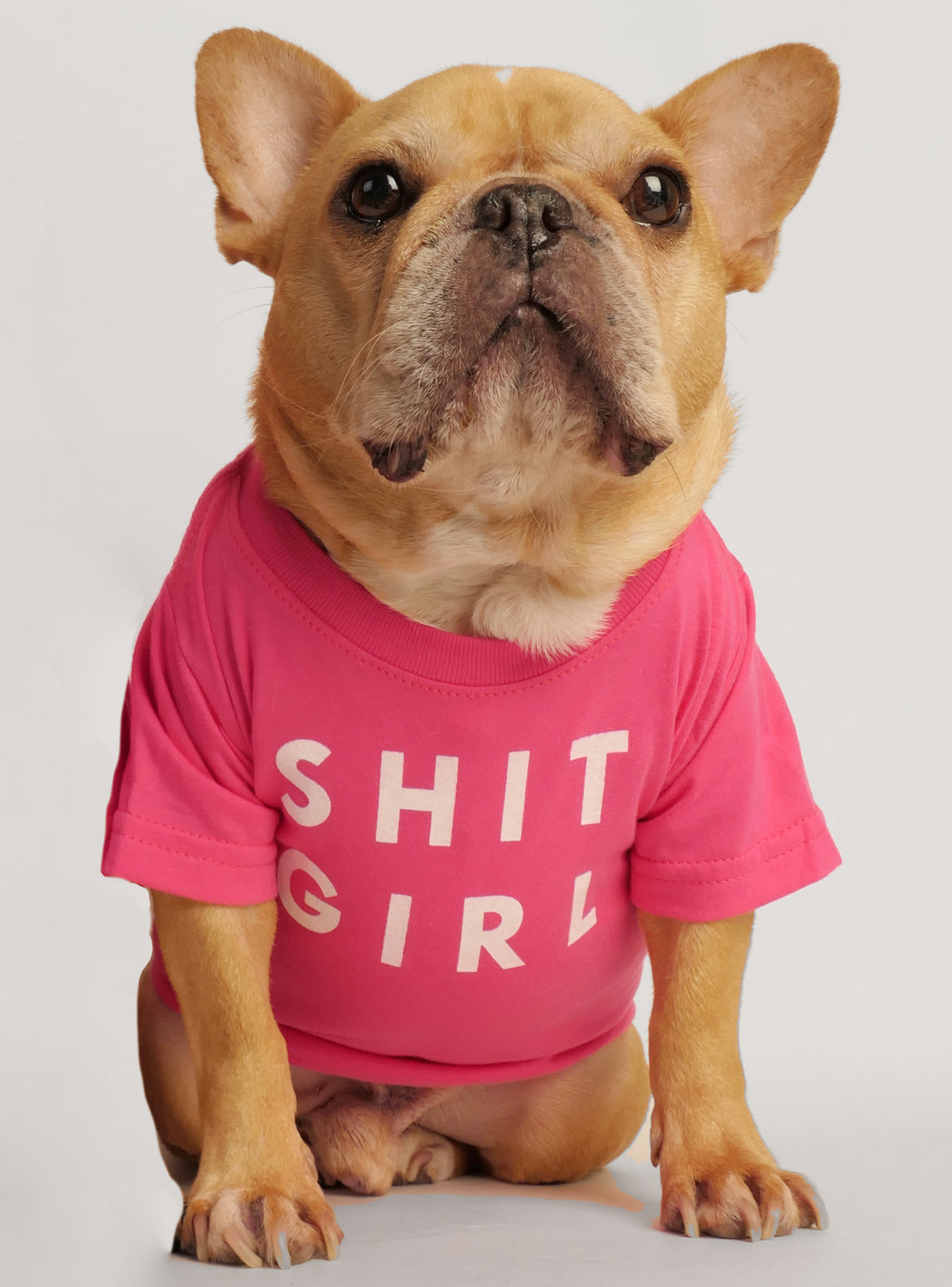 Shit Girl Dog Tee