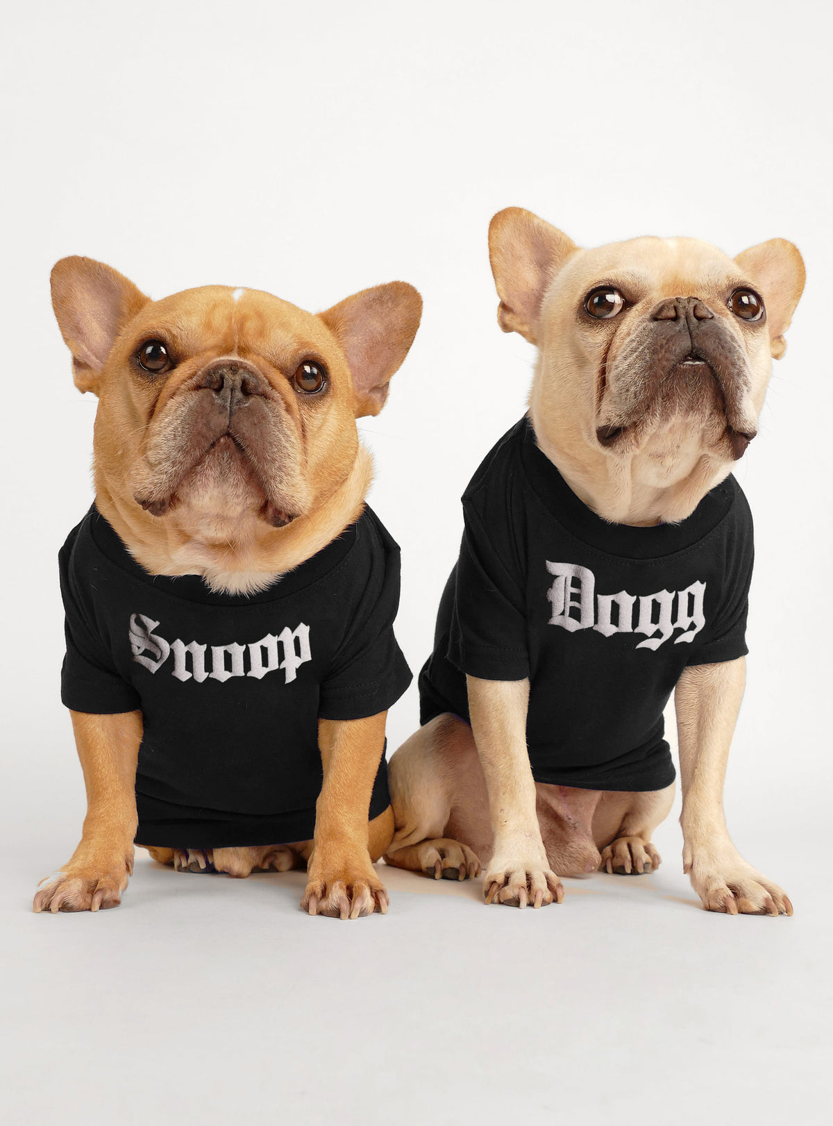 Dogg Dog Tee