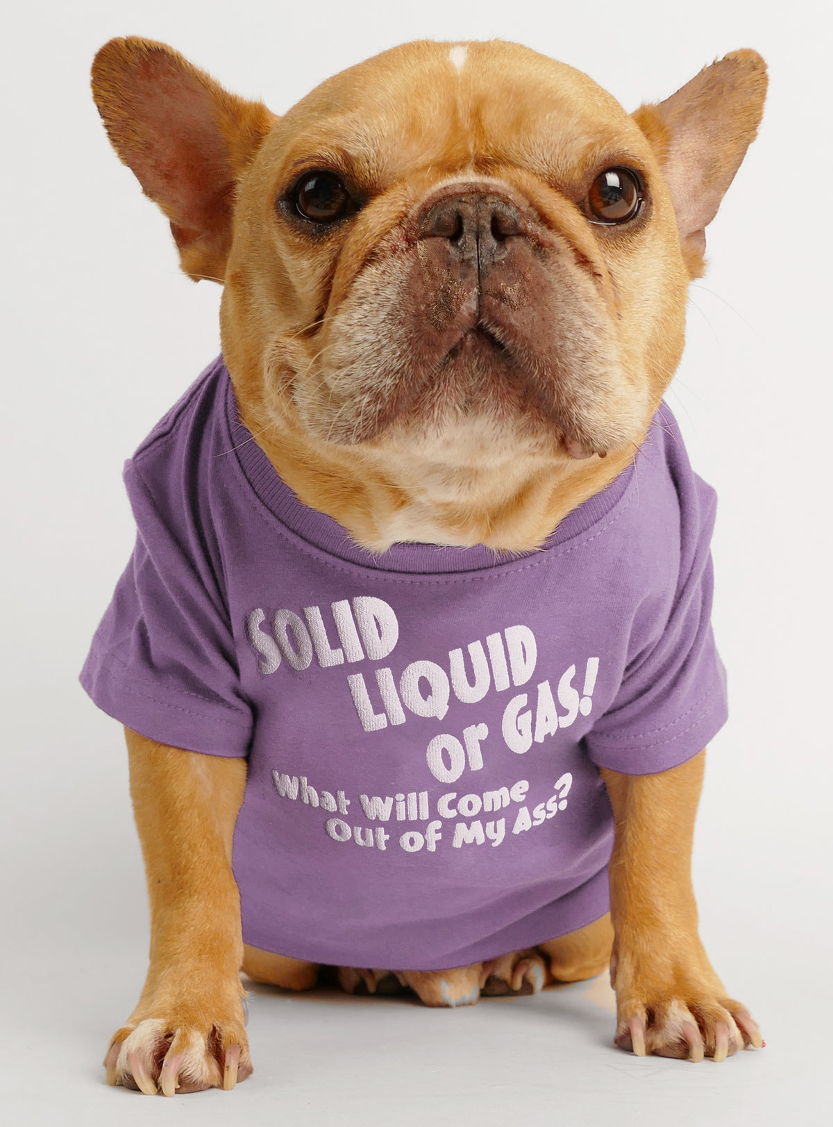 Solid Liquid or Gas Dog Tee