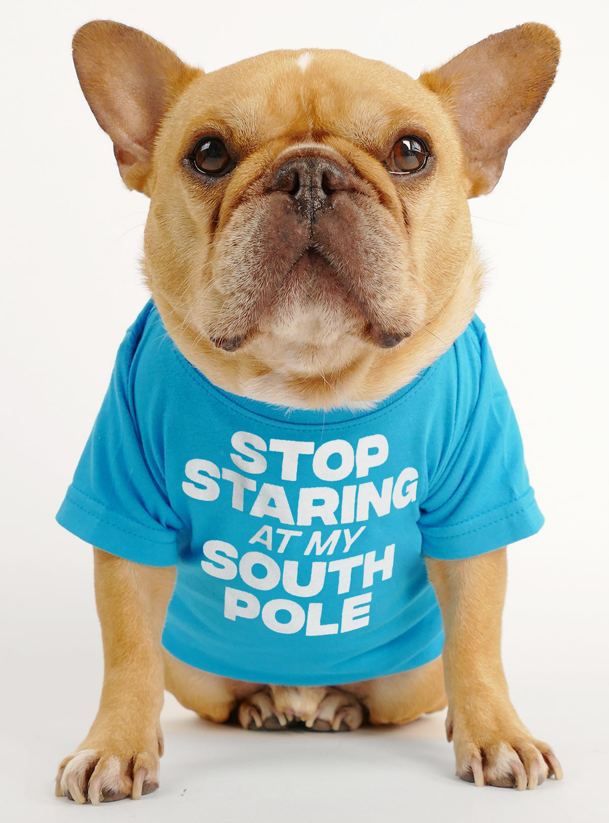 South Pole Dog Tee