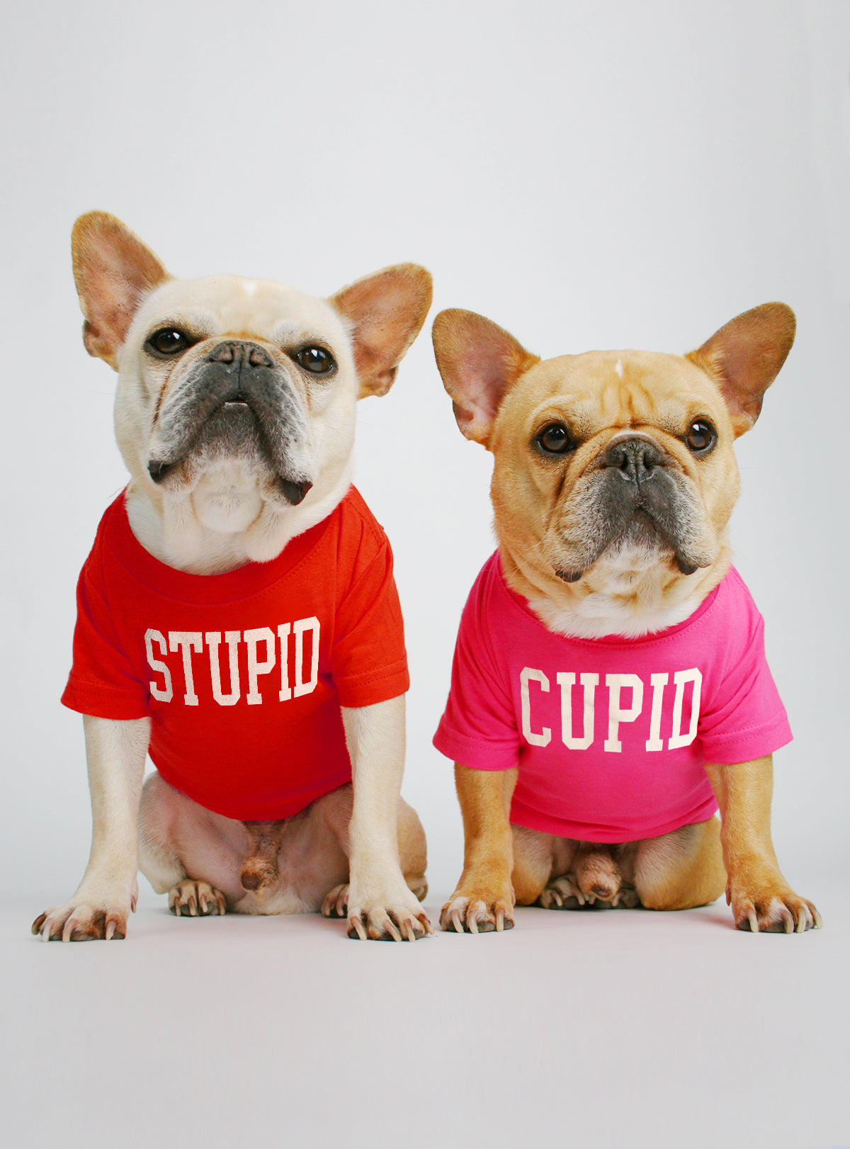 Stupid + Cupid (2-Pack) Dog Tee