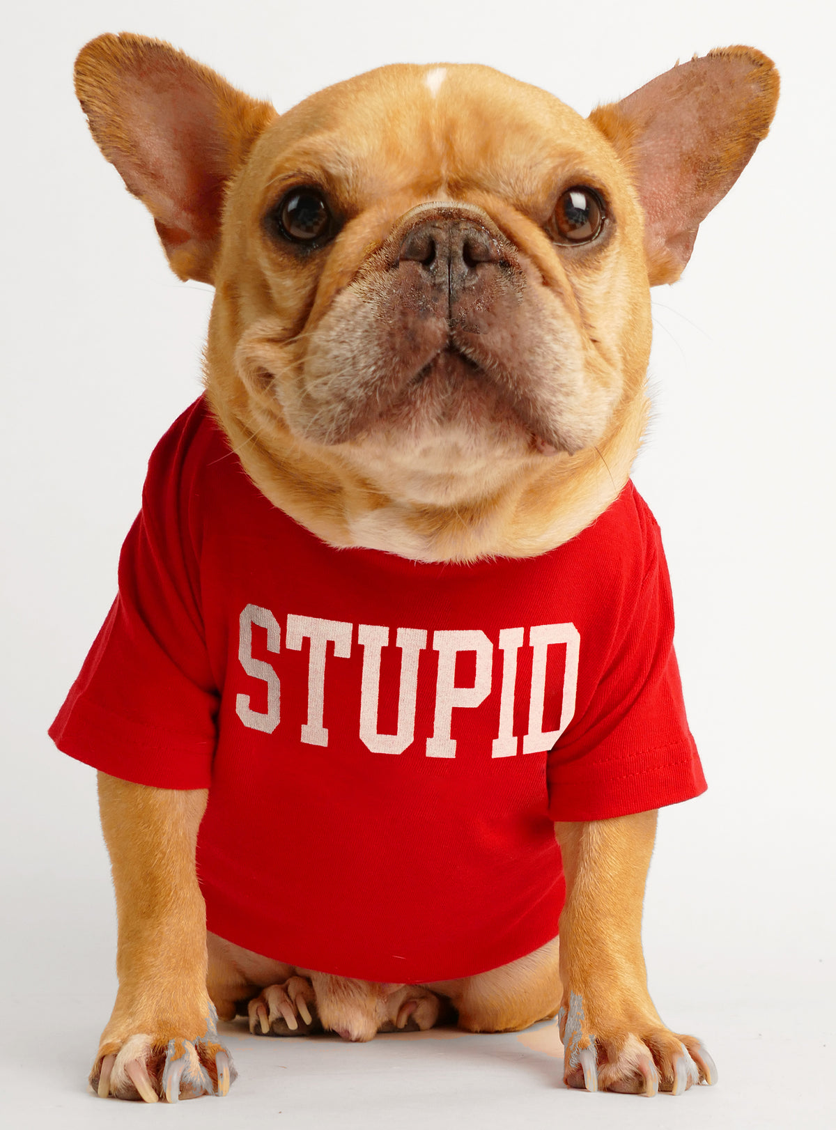 Stupid Dog Tee