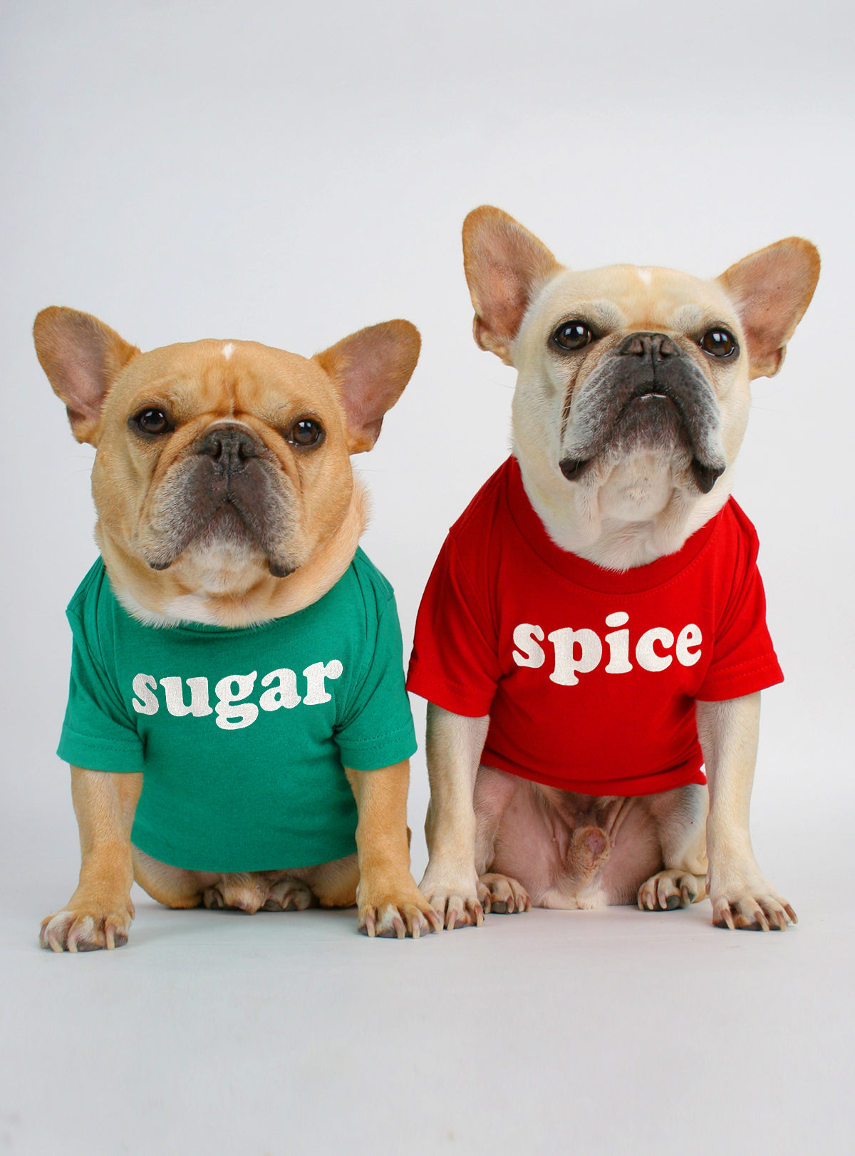 Sugar + Spice (2-Pack) Dog Tee