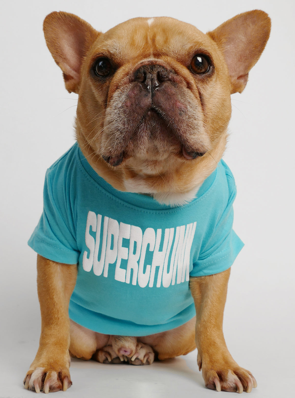 Superchunk Dog Tee