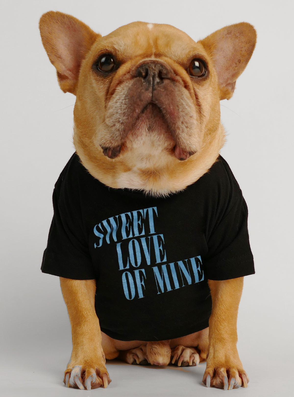 Sweet Love Of Mine Dog Tee