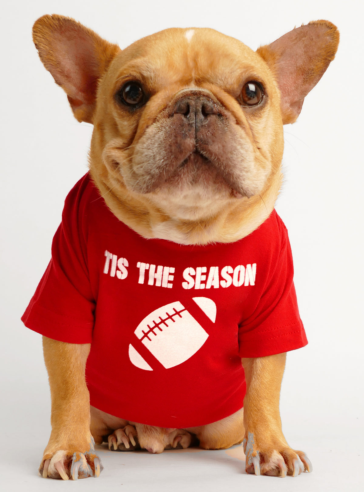 Tis The Season Dog Tee