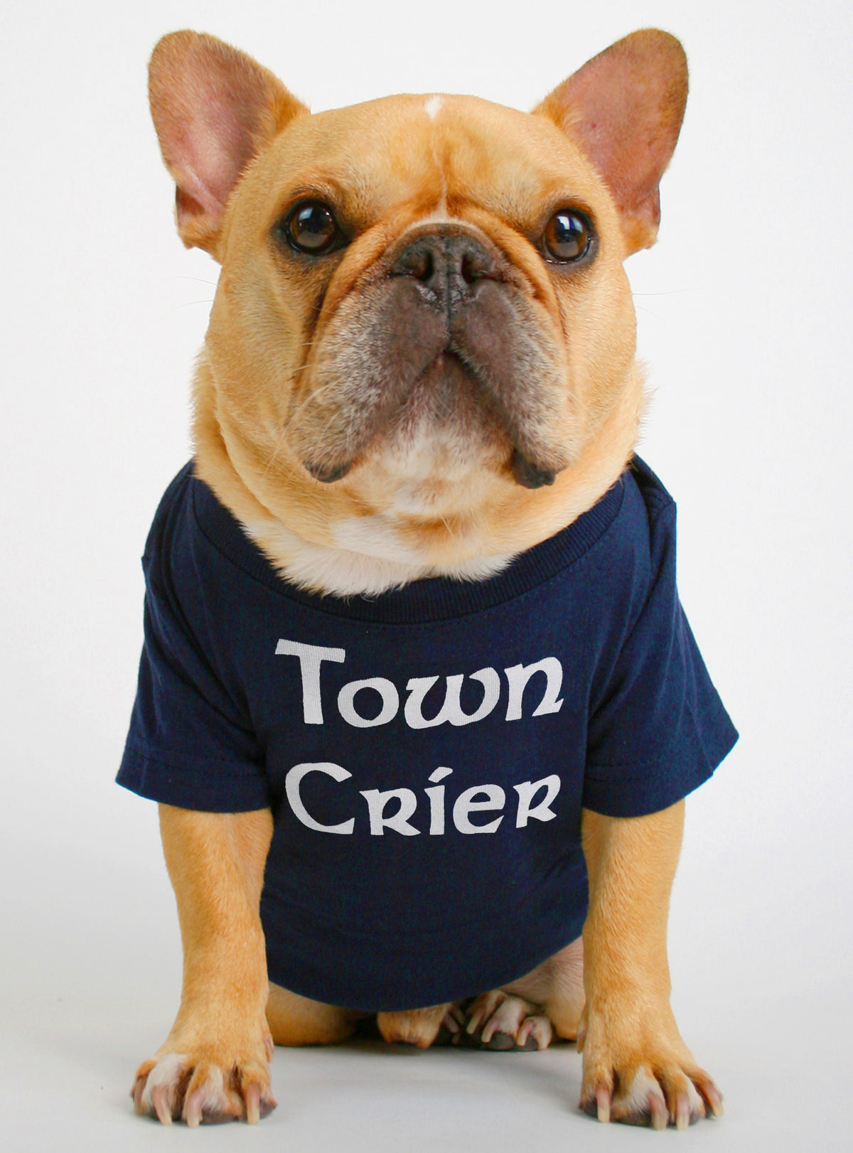 Town Crier Dog Tee