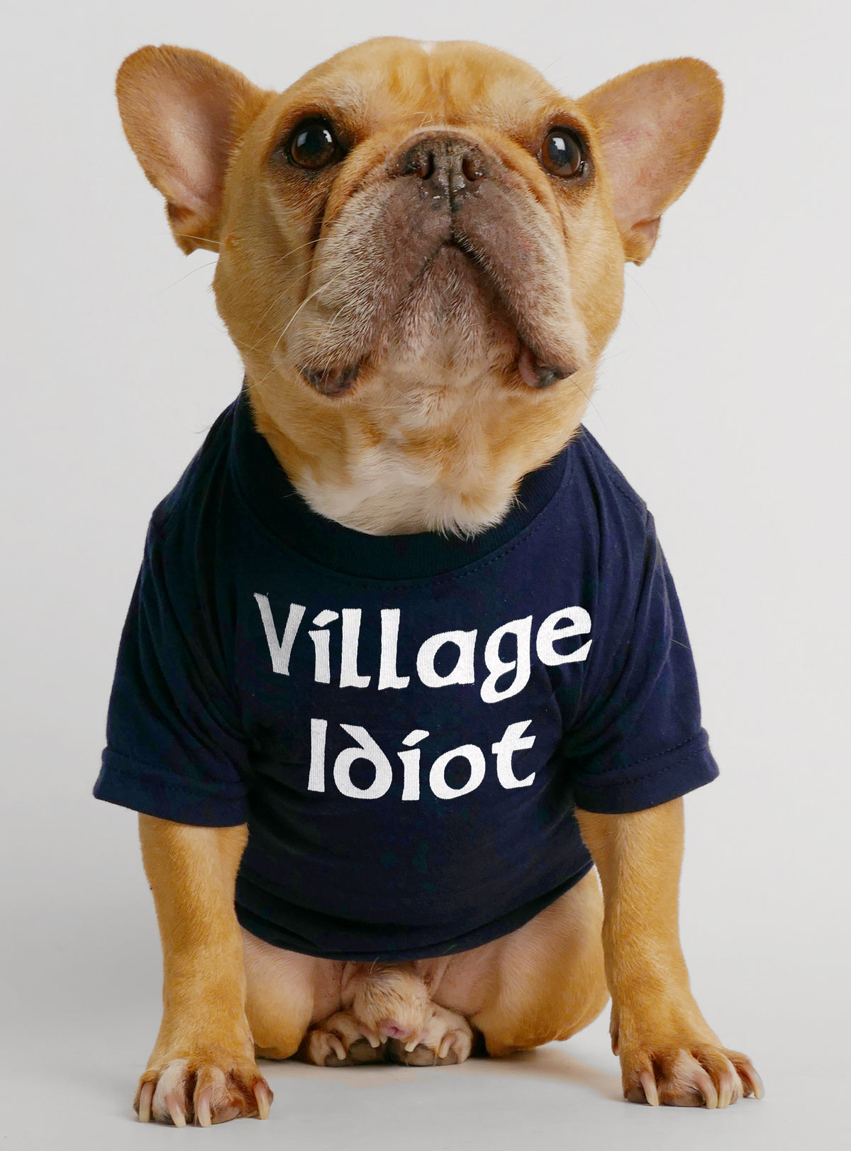 Village Idiot + Town Crier (2-Pack) Dog Tee