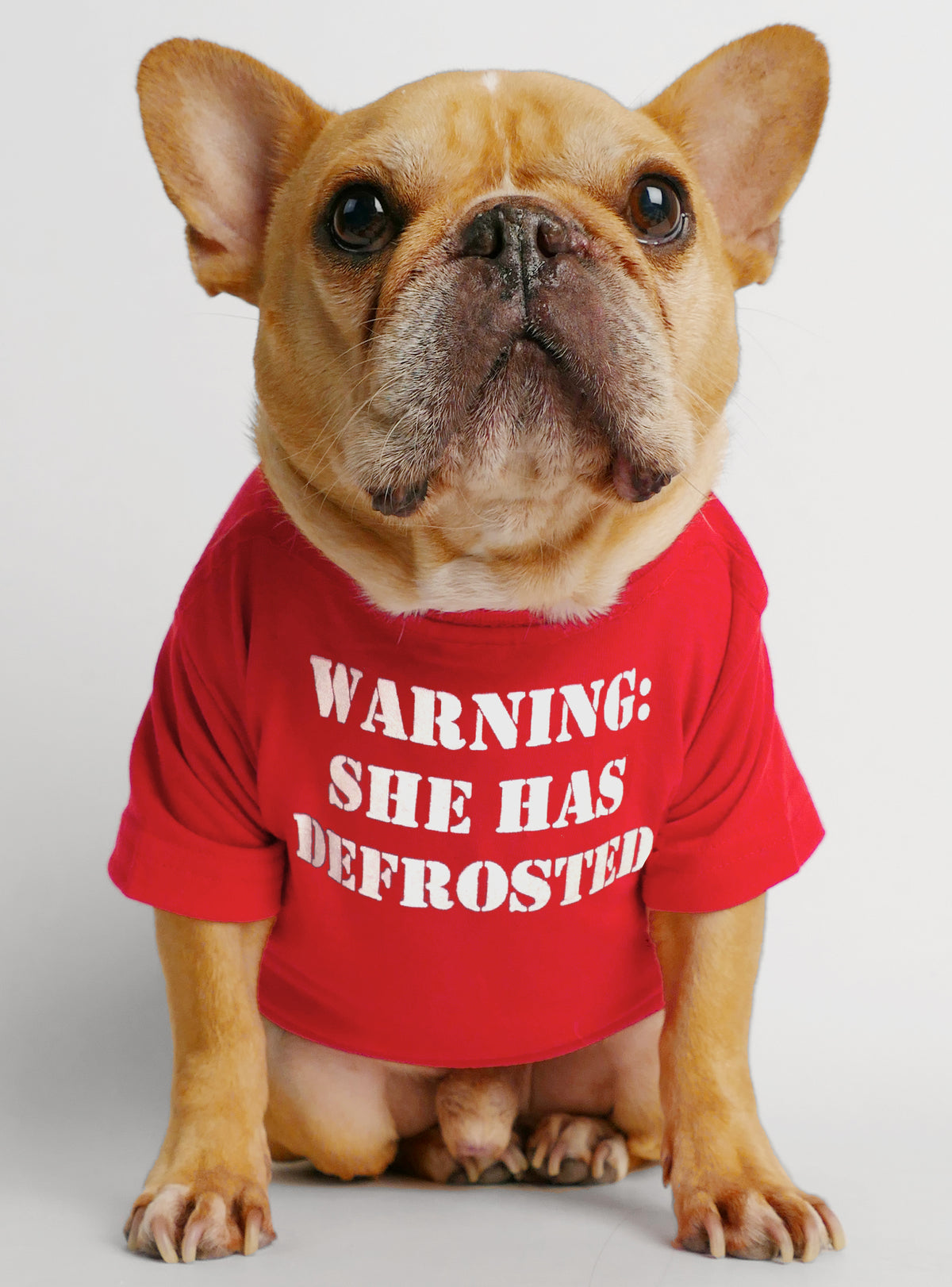 Warning She Has Defrosted Dog Tee