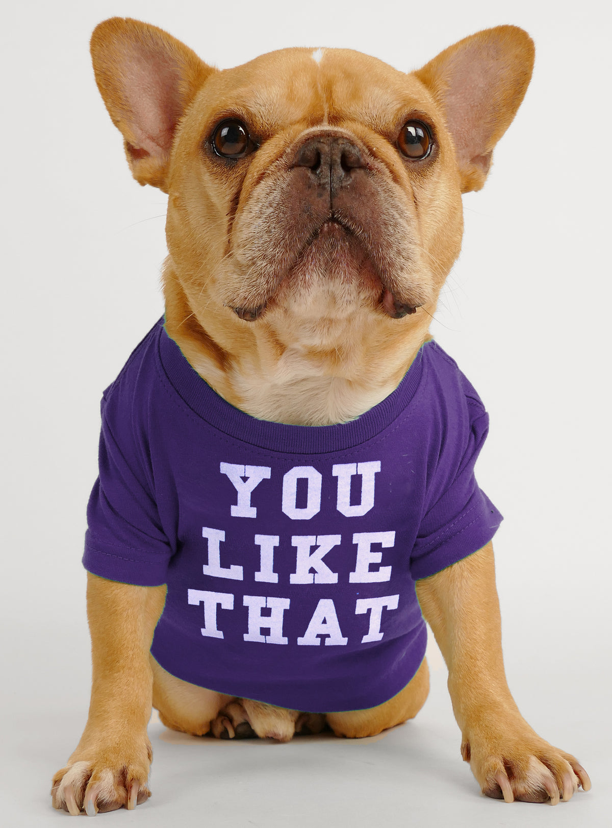 You Like That Dog Tee