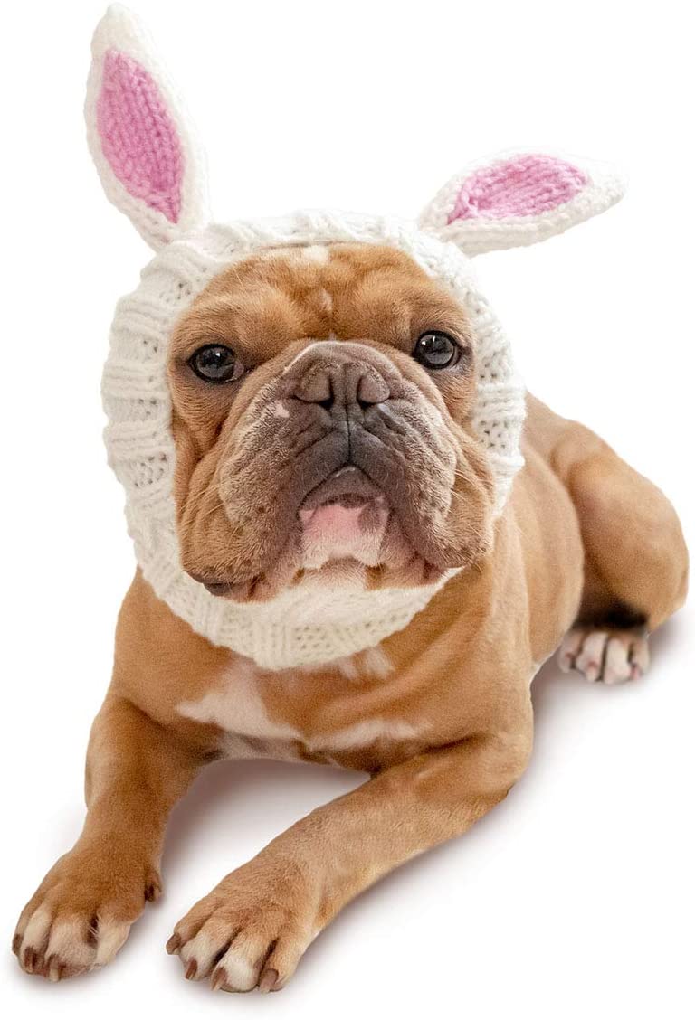 Knit Easter Bunny Dog Costume