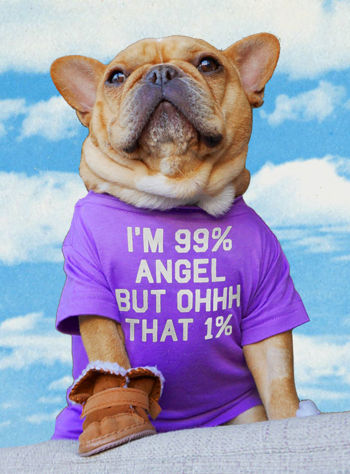 I&#39;m 99% Angel But Oh That 1% Dog Tee
