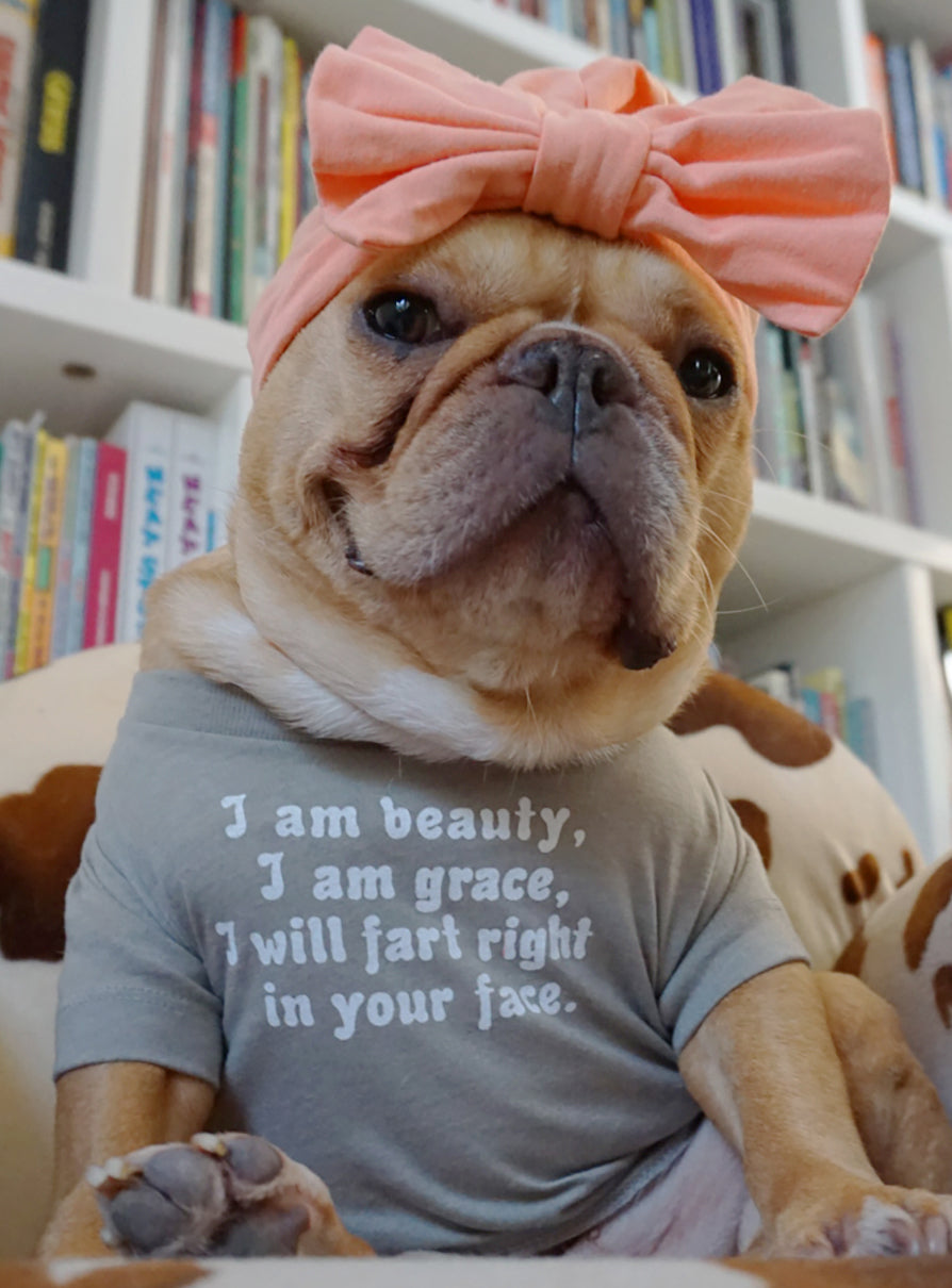 Beauty And Grace Dog Tee