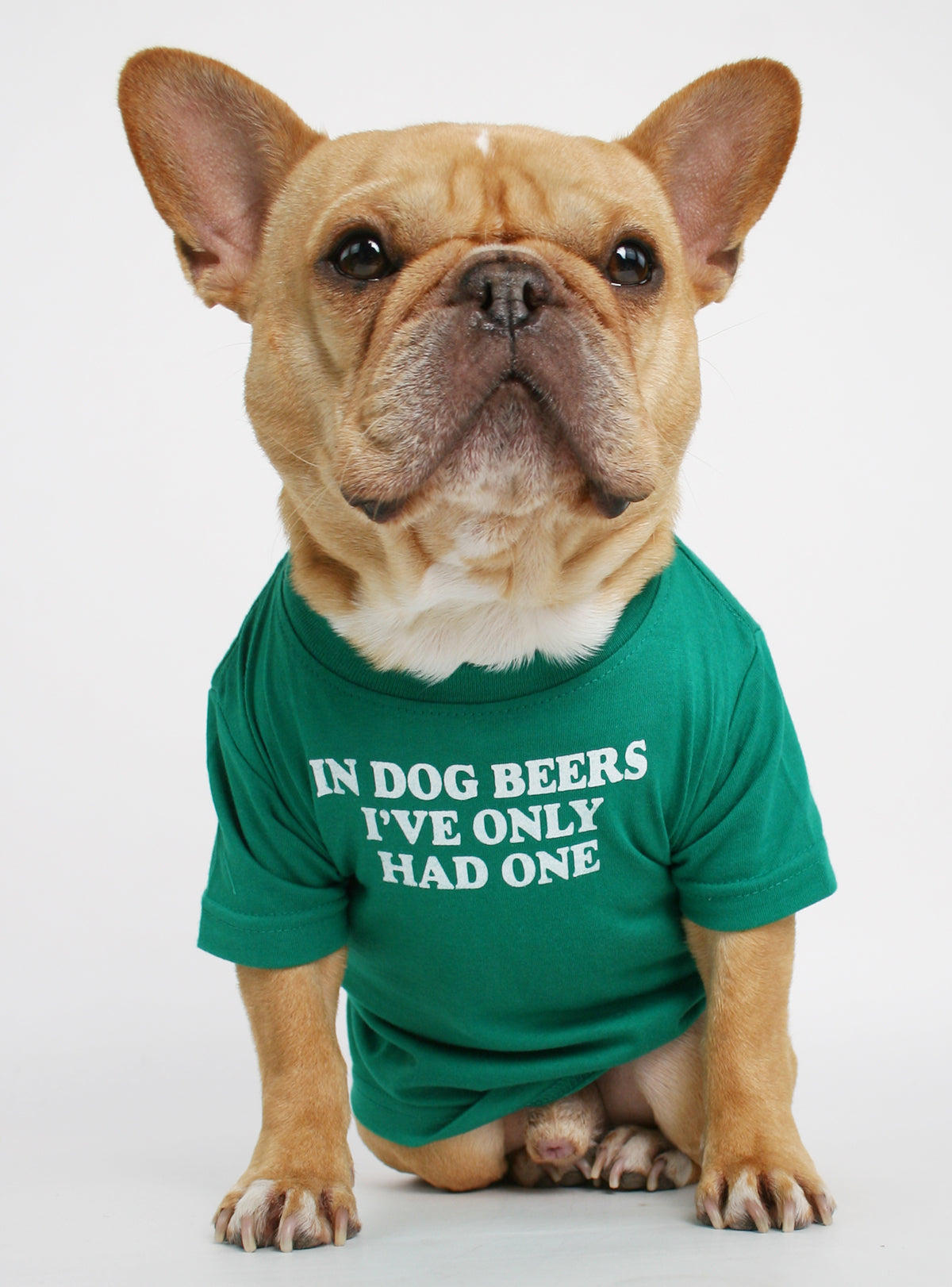 In Dog Beers Dog Tee