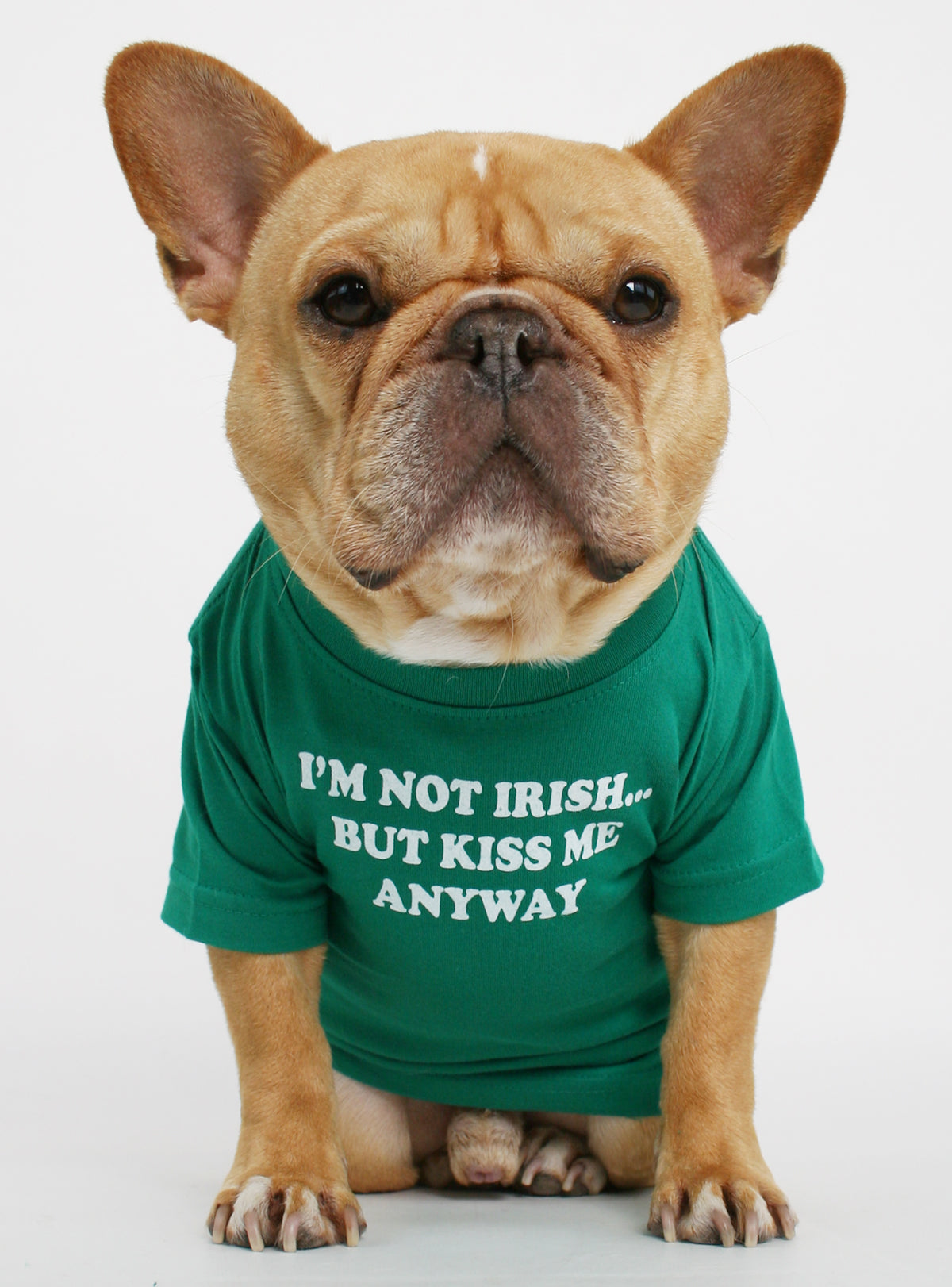 I&#39;m Not Irish Dog Tee