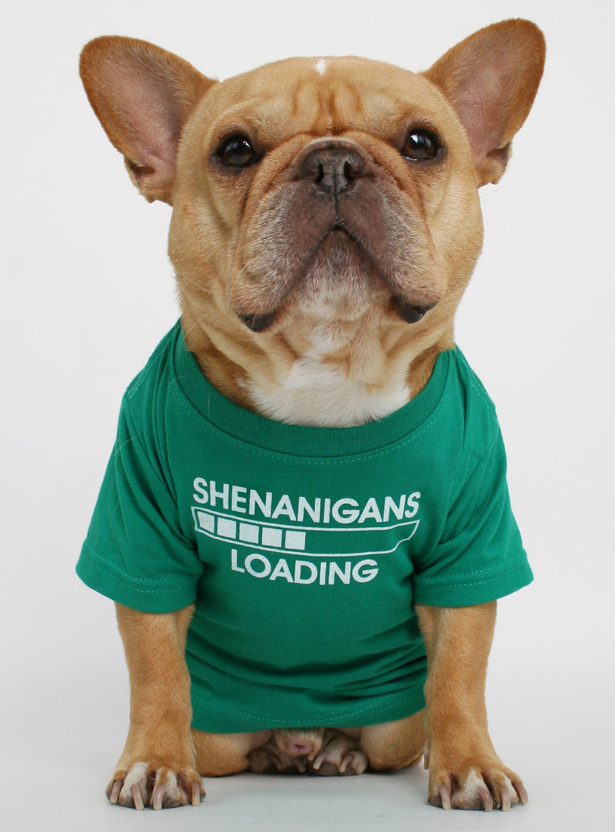 Shenanigans Loading Dog Tee