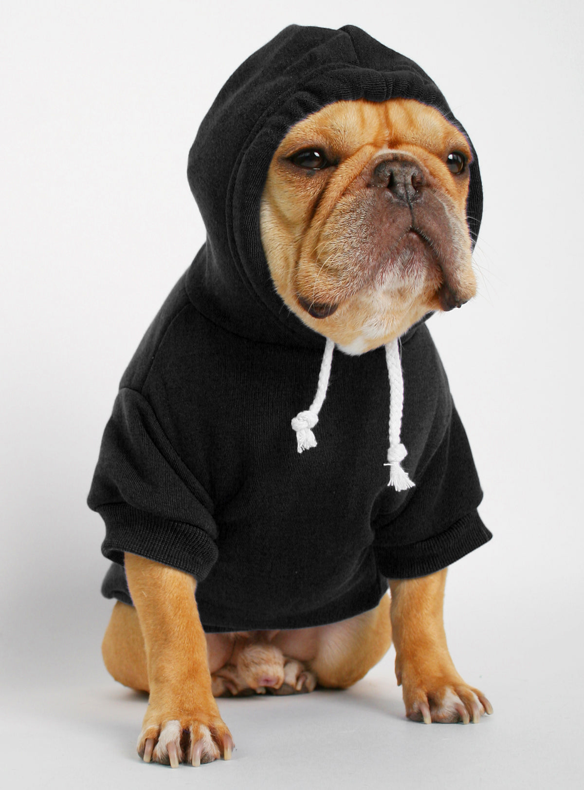 Georgia Bulldogs Dog Hoodie Coat -  Sweden