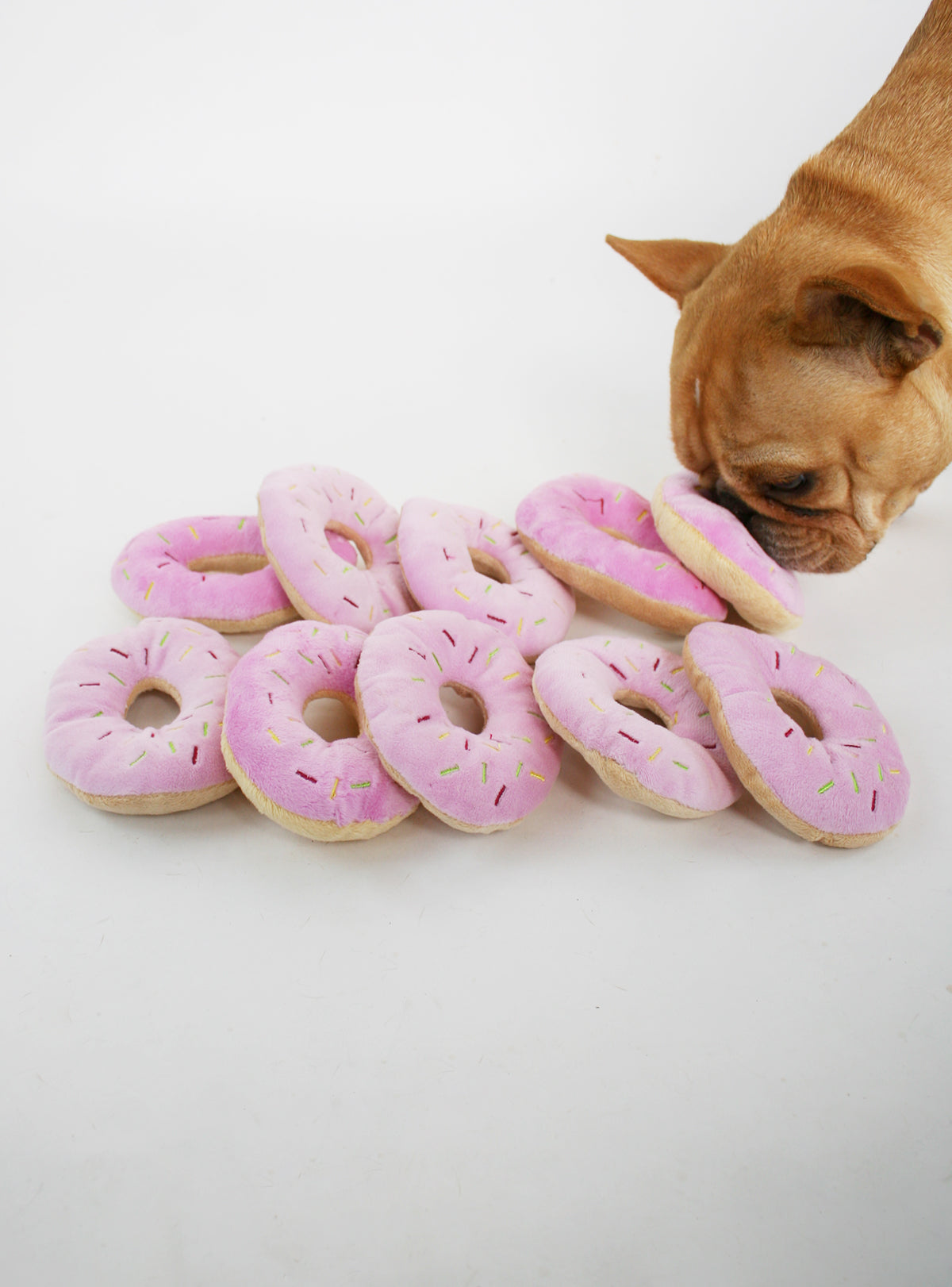 Donut Dog Chew Toy