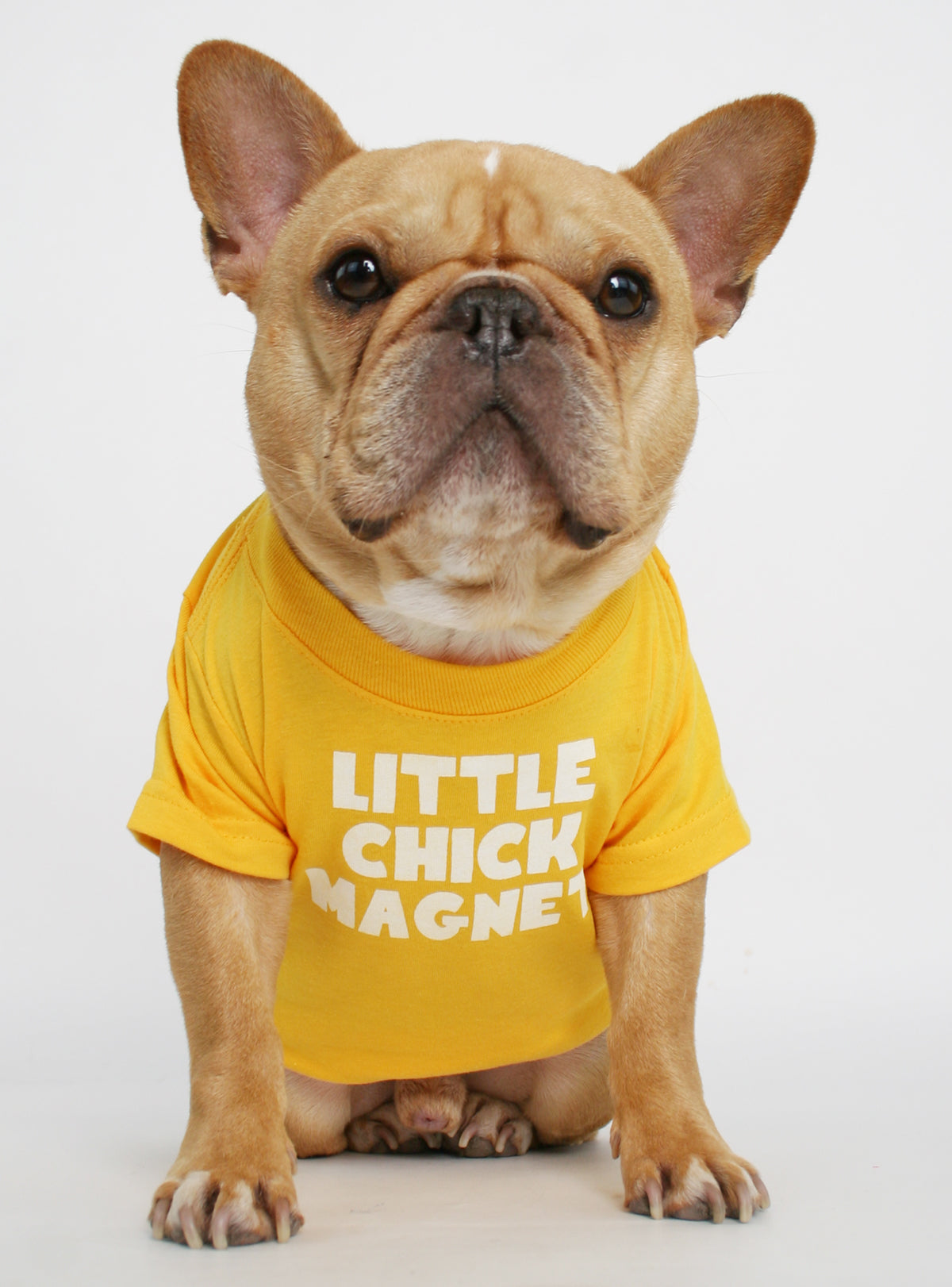 Little Chick Magnet Dog Tee
