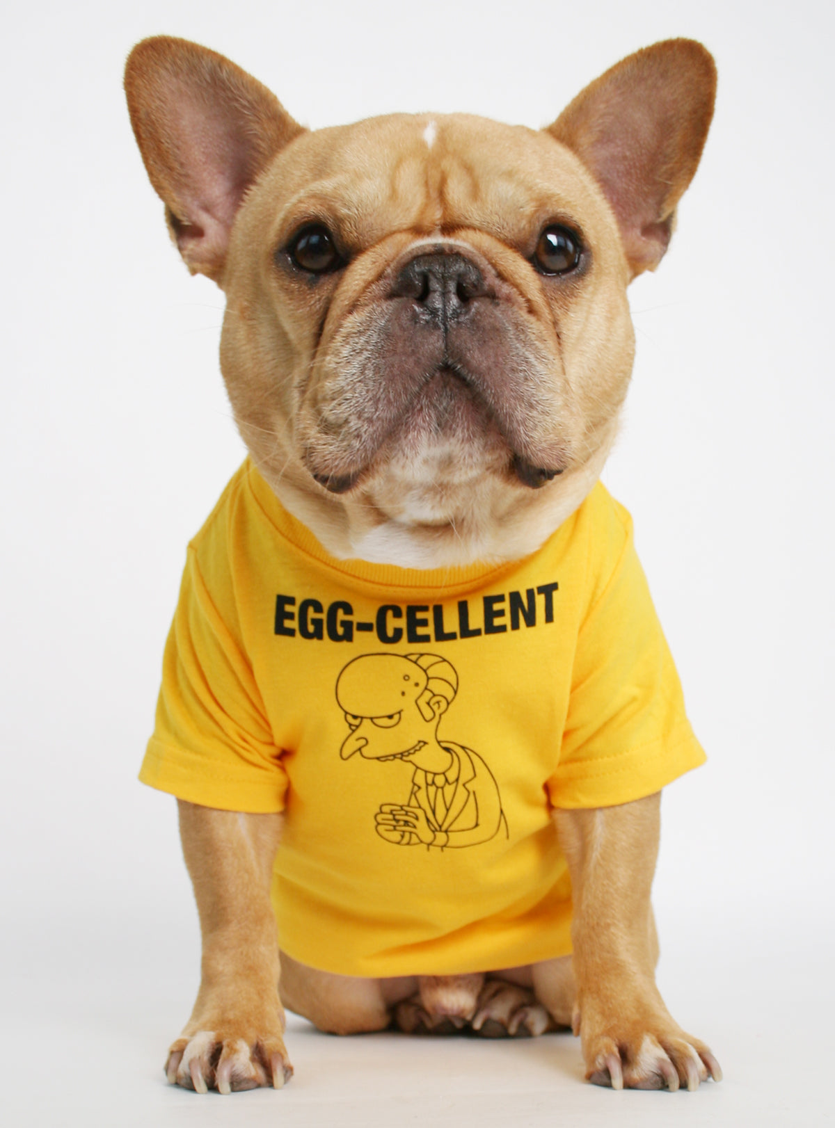 Egg-cellent Dog Tee