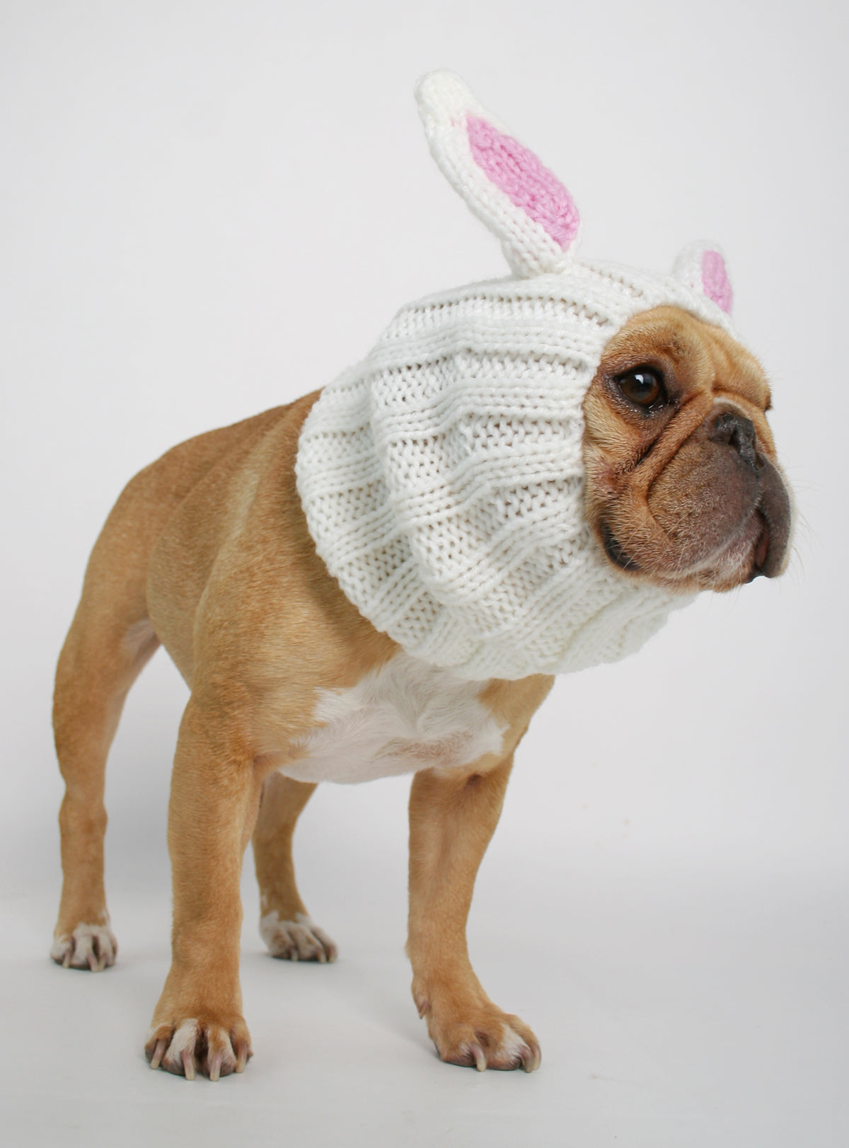 Knit Easter Bunny Dog Costume