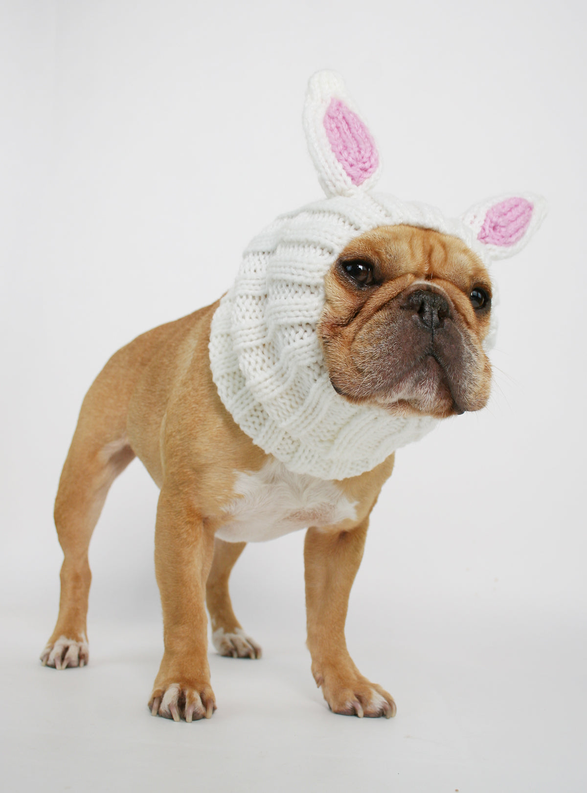 Knit Easter Bunny Dog Costume