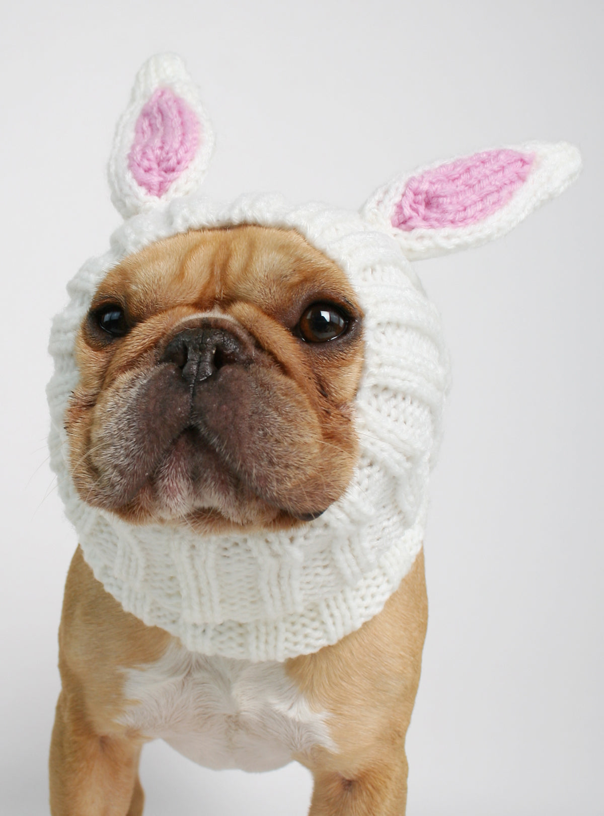 Knit Easter Bunny Dog Costume