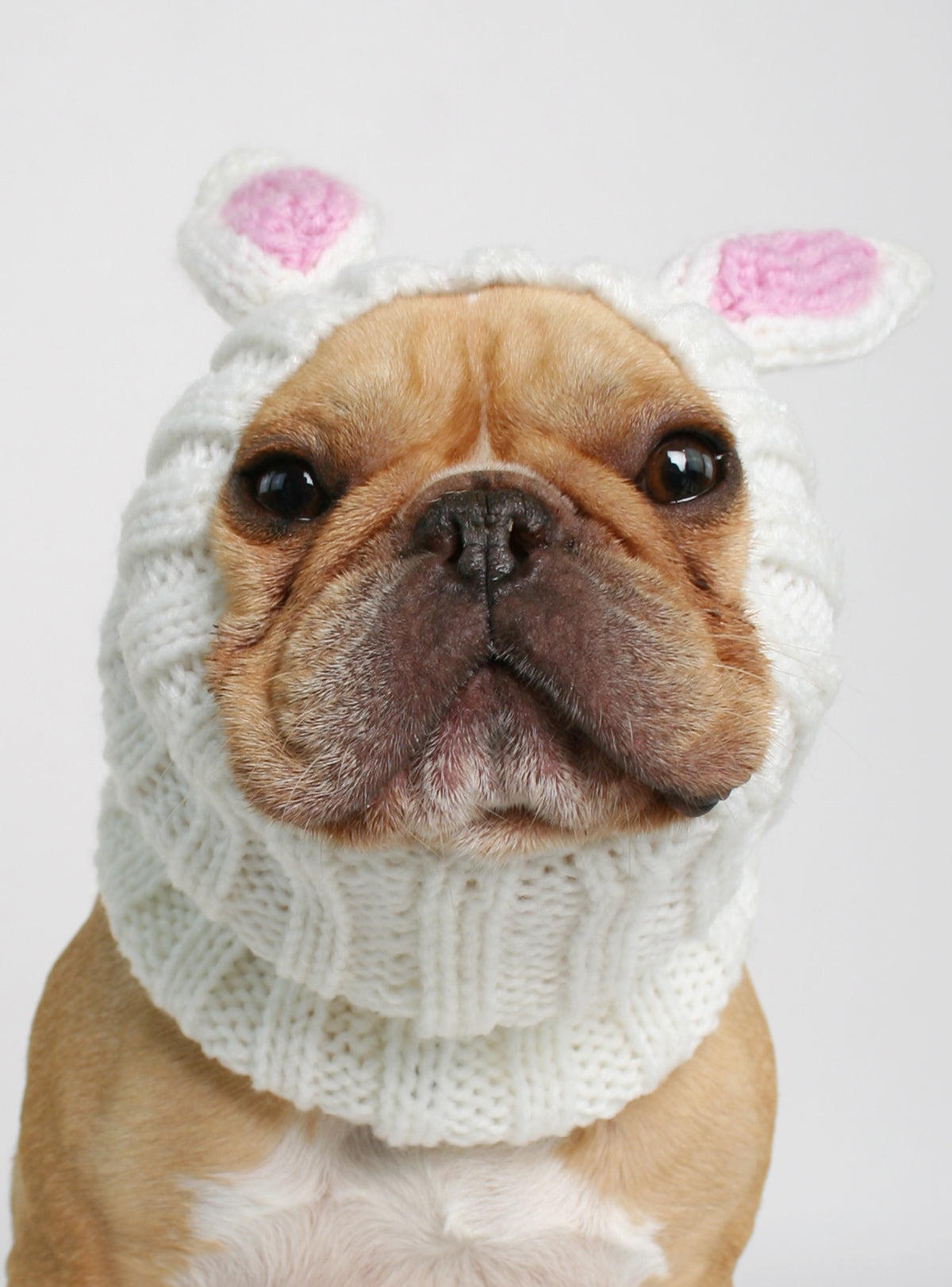 Knit Easter Bunny Dog Costume