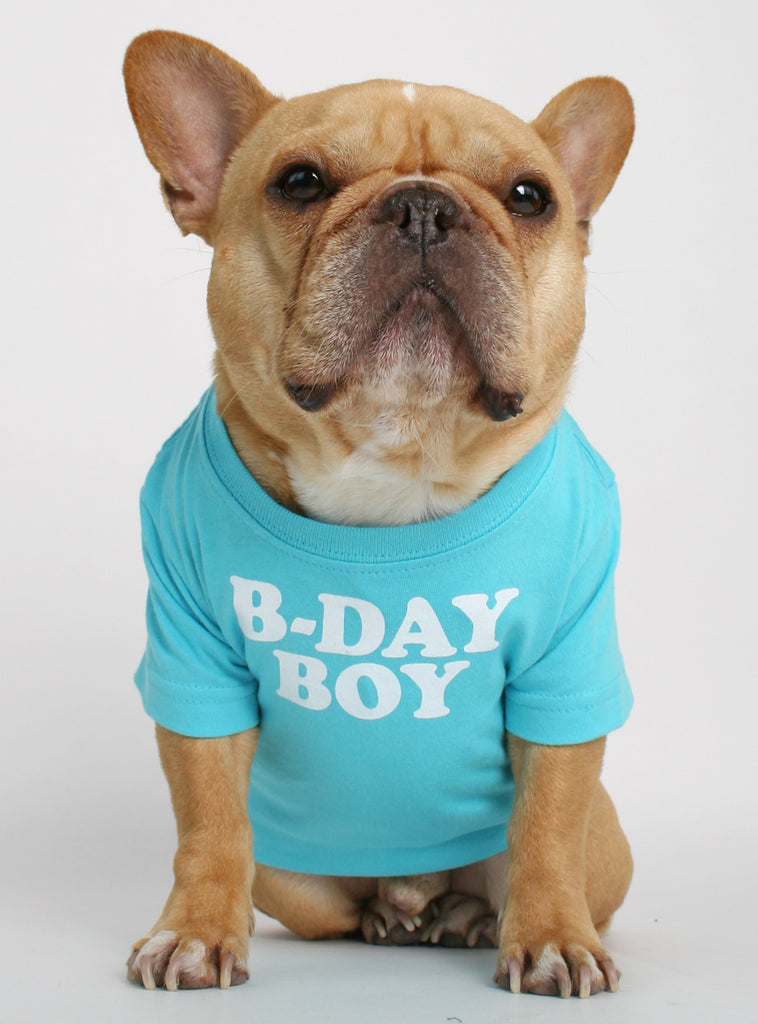 Dog birthday hotsell boy shirt