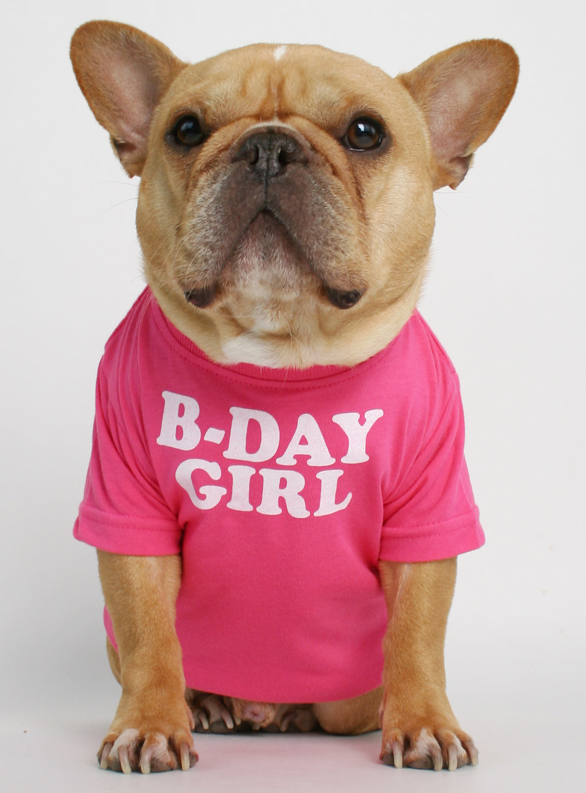 Birthday Girl Dog Tee