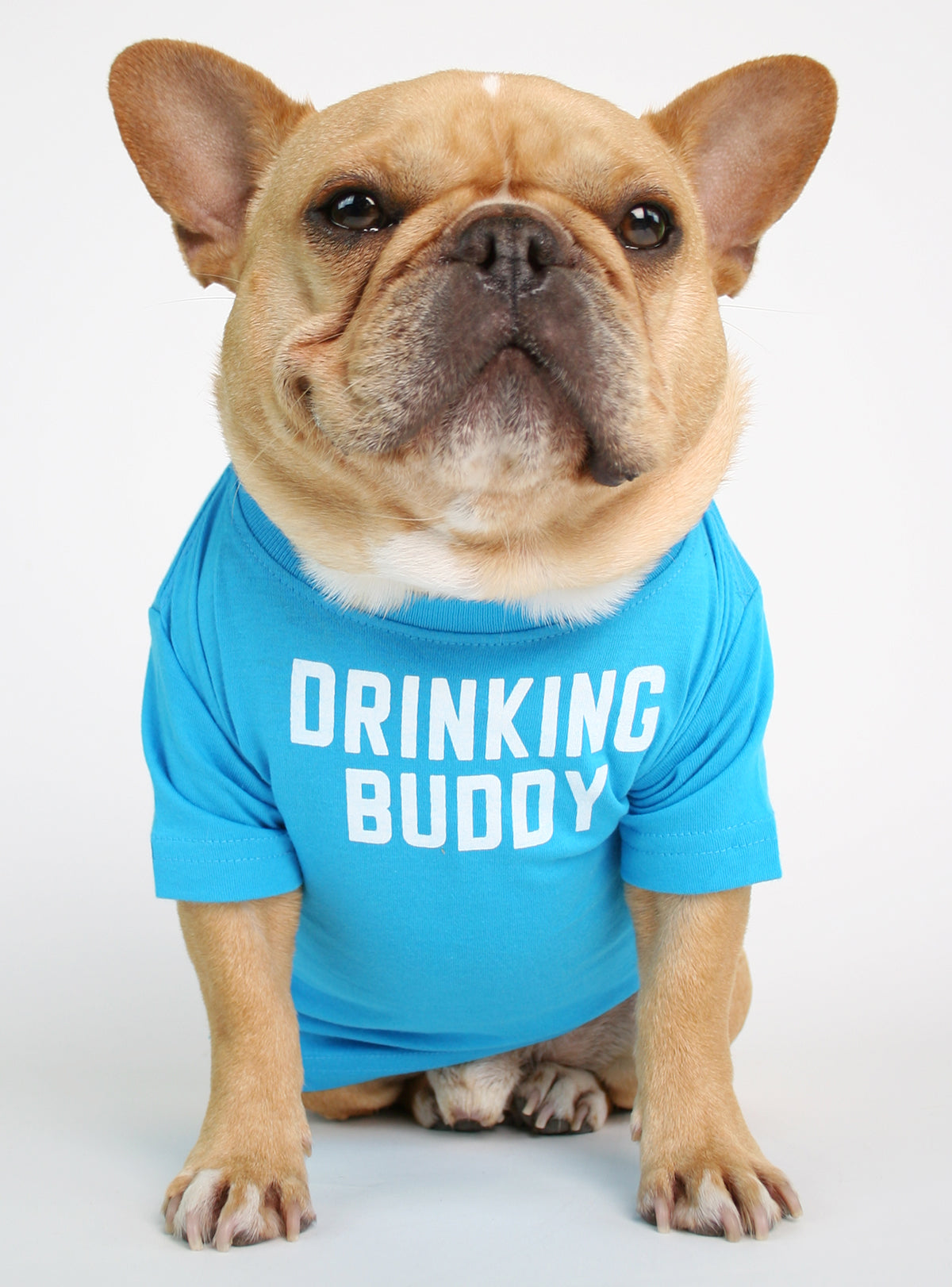 Drinking Buddy Dog Tee