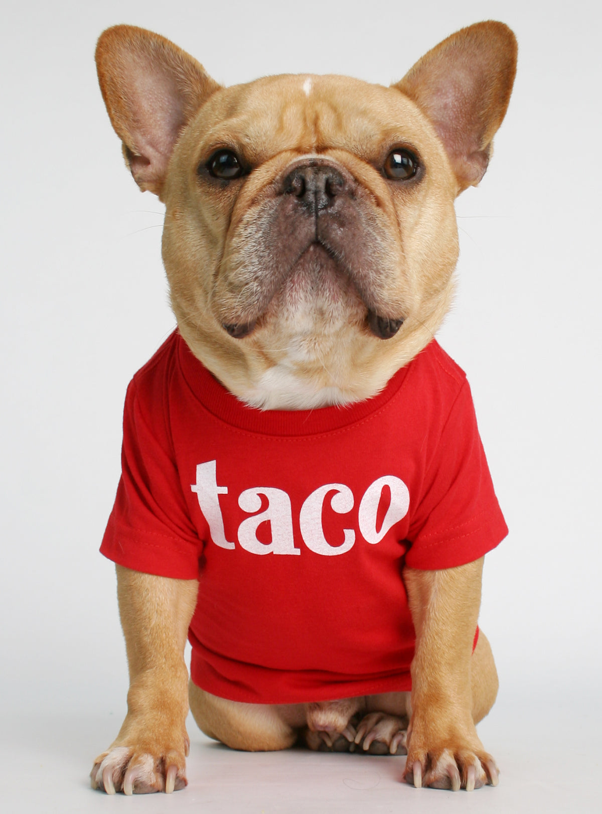 Taco Dog Tee