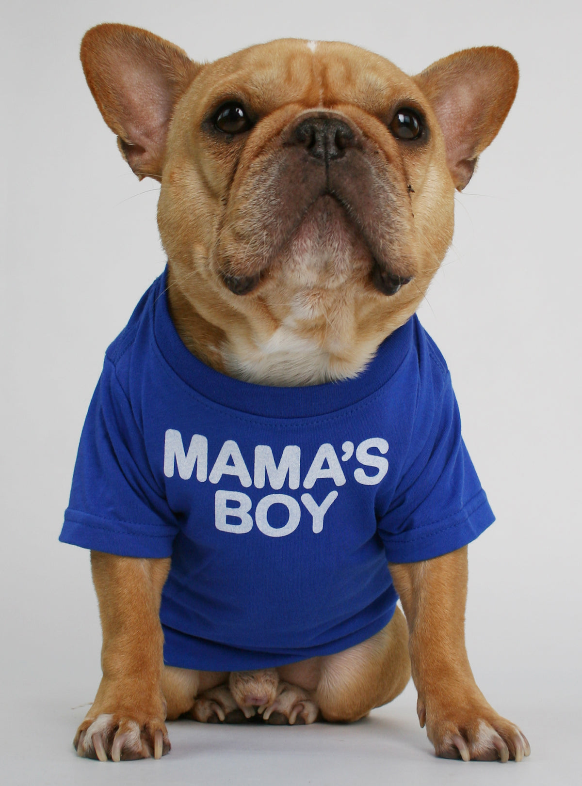 Mama&#39;s Boy Dog Tee