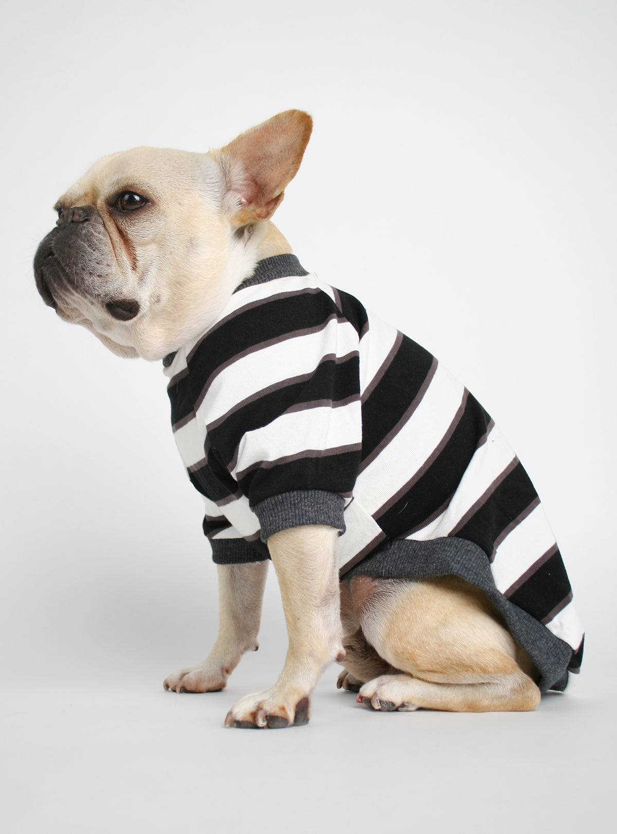 The Chroma Striped (2-Pack) Dog Tee