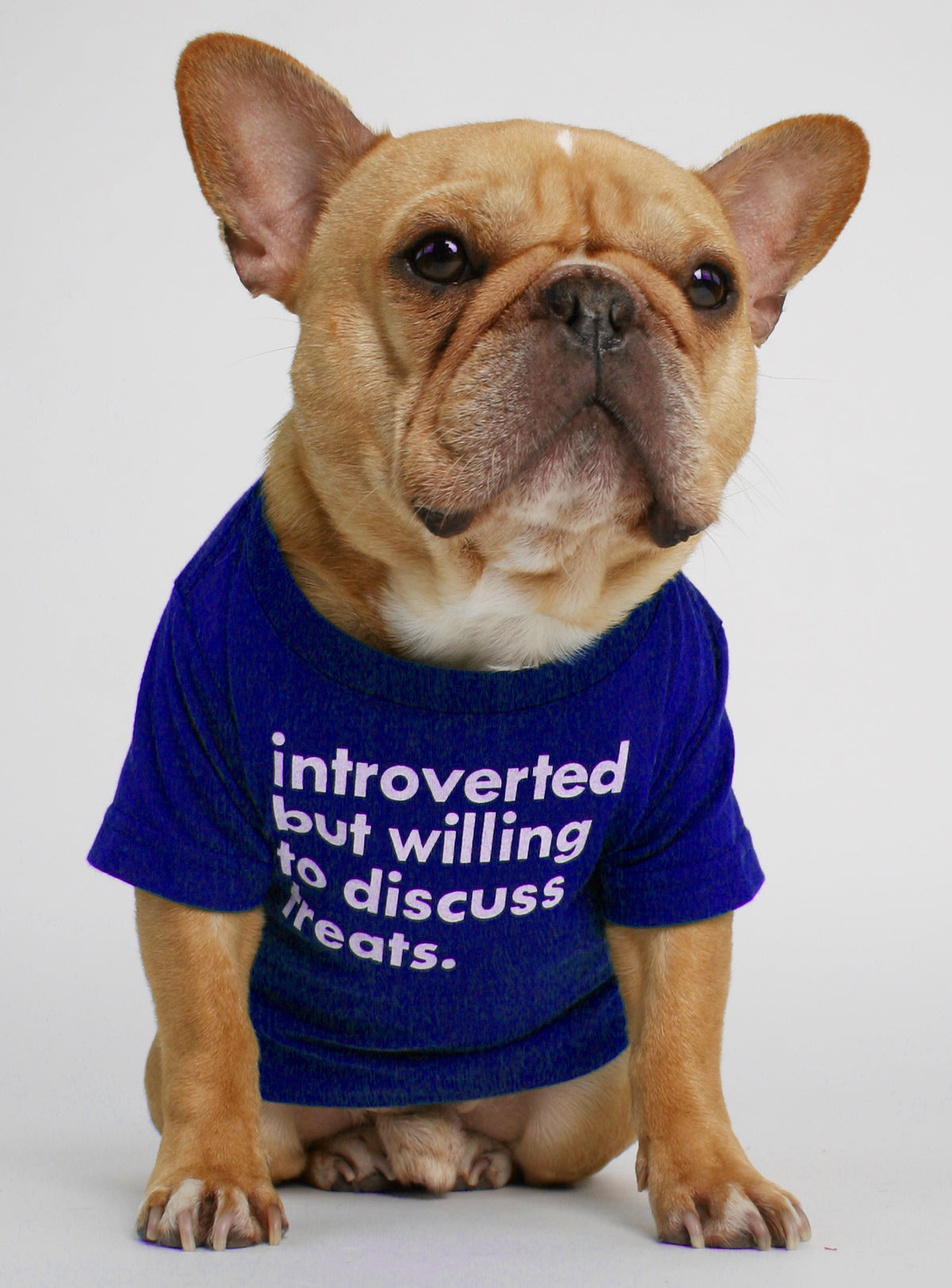 Willing to Discuss Treats Dog Shirt