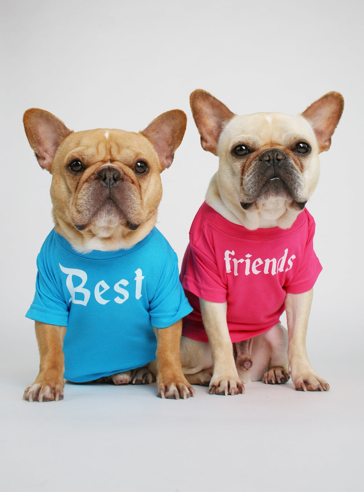 Best Friends (2-Pack) Dog Tee