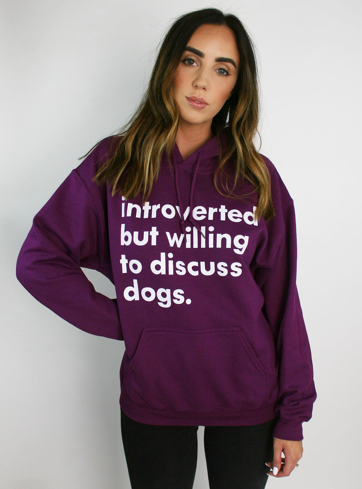 Willing to Discuss Dogs Hoodie