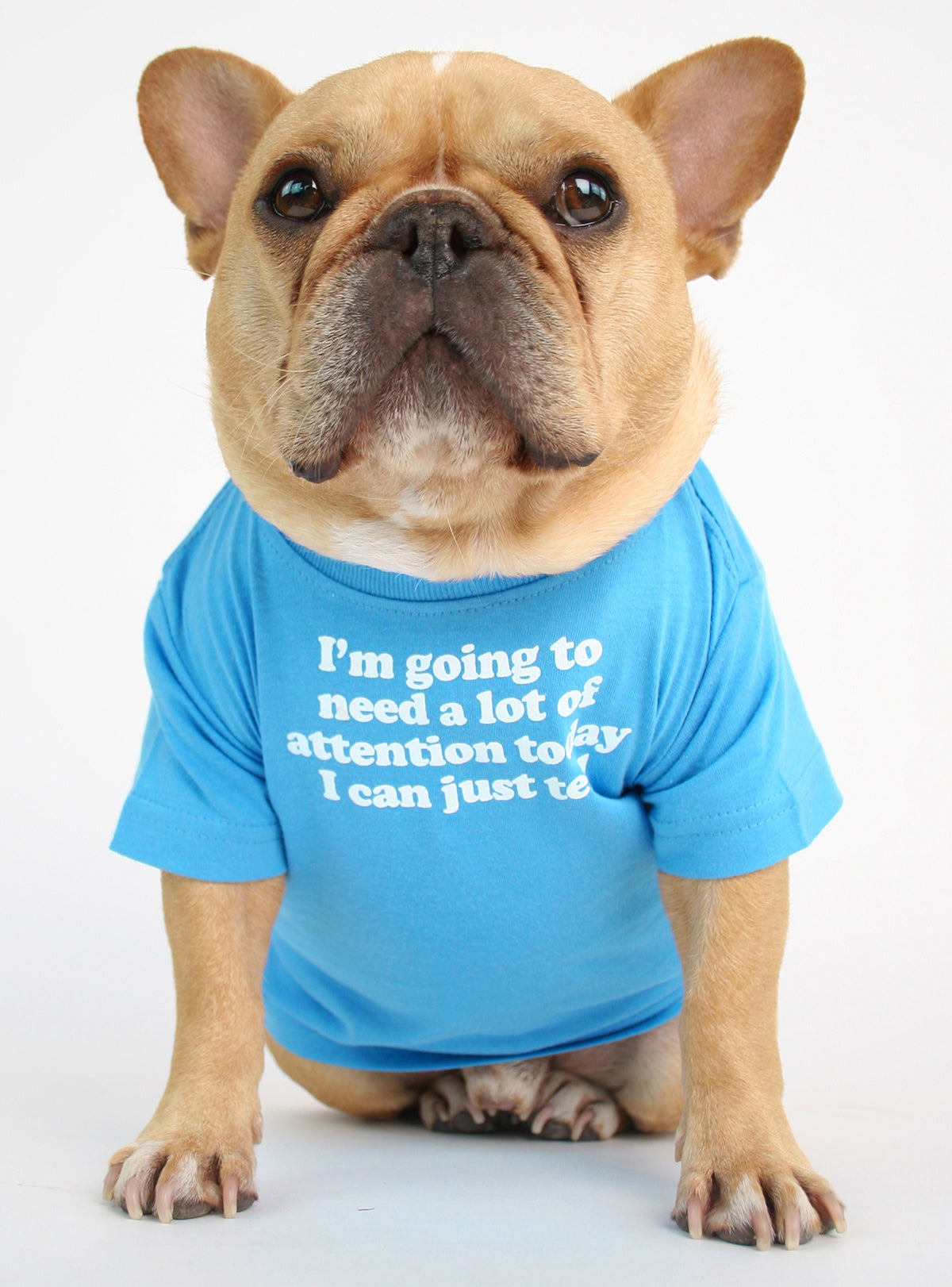 Need Attention Dog Tee