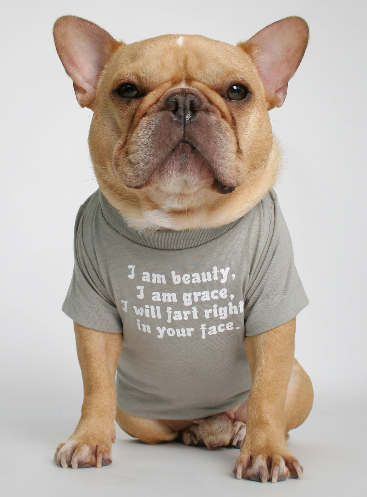 Beauty And Grace Dog Tee