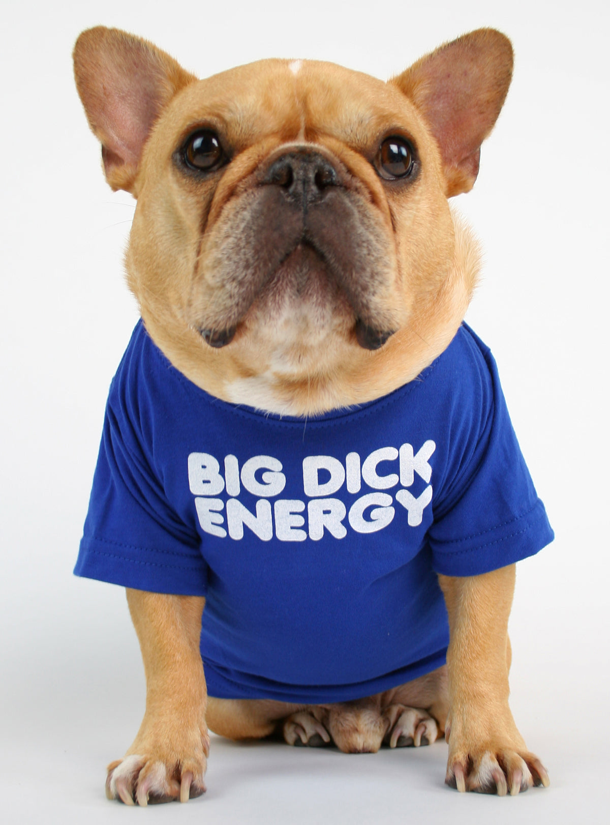 Big D Energy Dog Tee