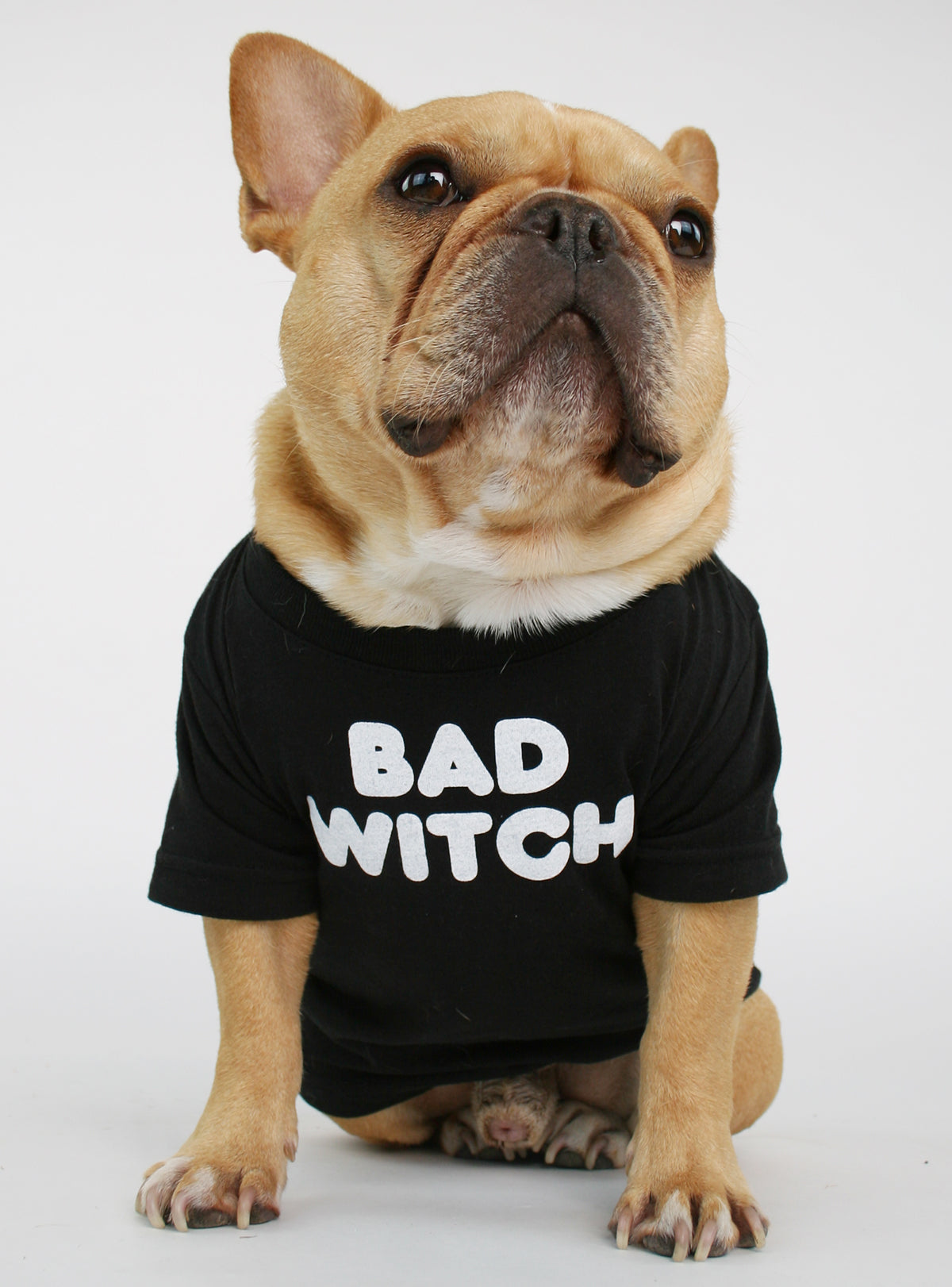 BAD WITCH DOG TEE