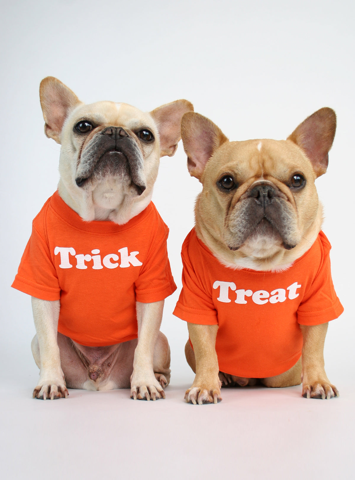 Trick or Treat (2-Pack) Dog Tee