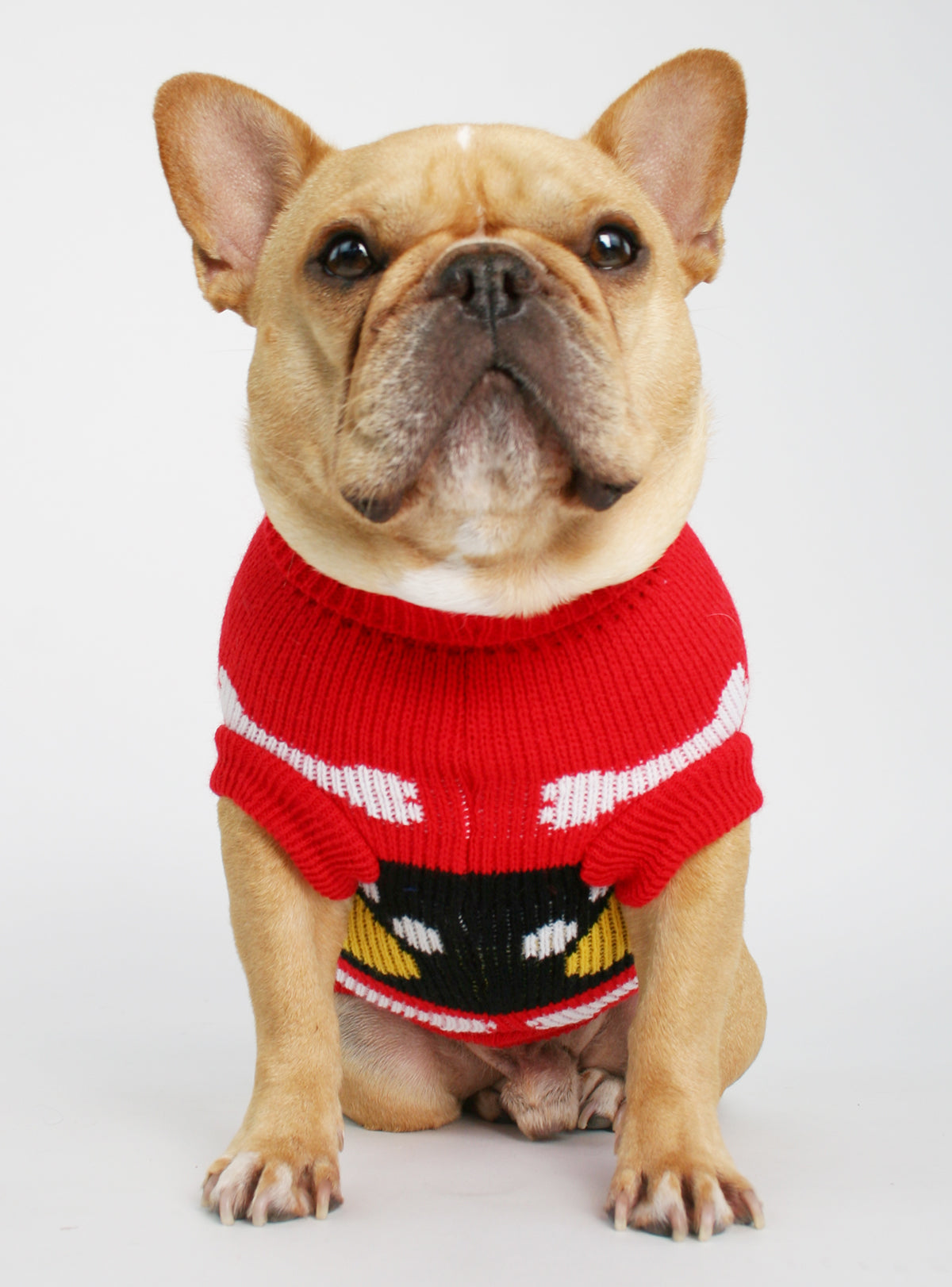 Boneyard Dog Sweater