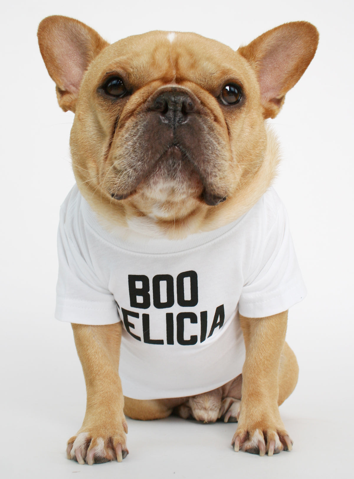 Club Huey Hellfire Club Dog Tee