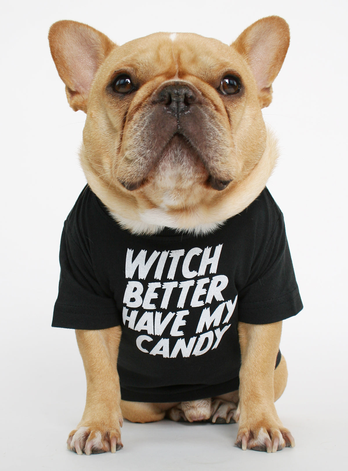 Witch Better Have My Candy Dog Tee