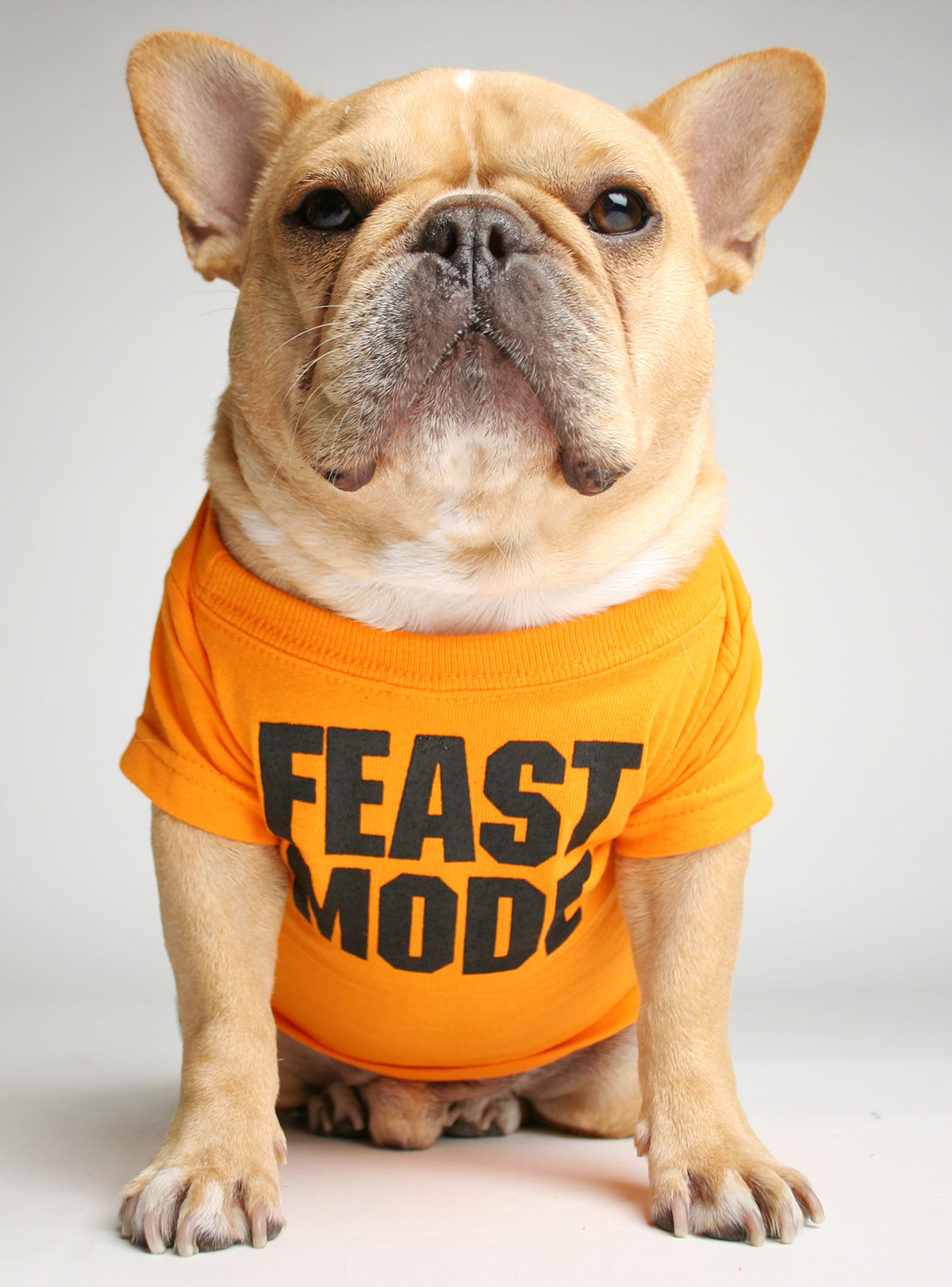 Feast Mode Dog Tee