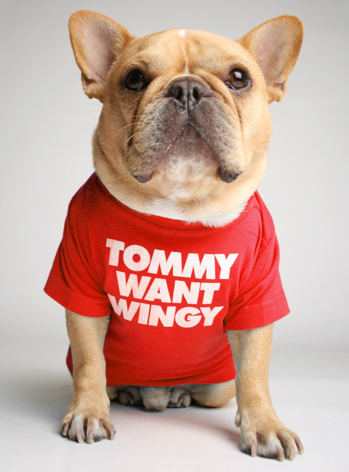 Tommy Want Wingy Dog Tee