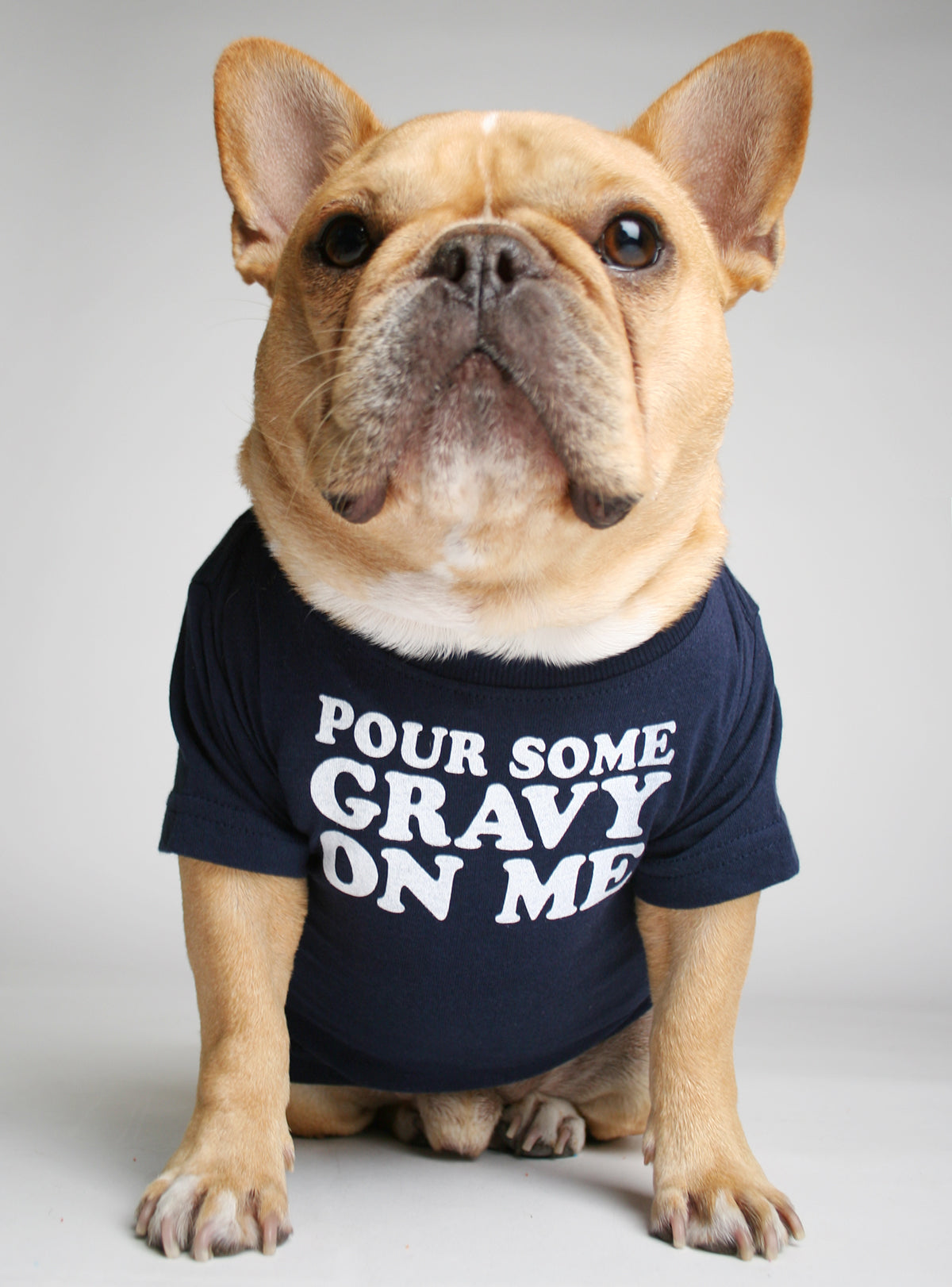 Pour Some Gravy On Me Dog Tee