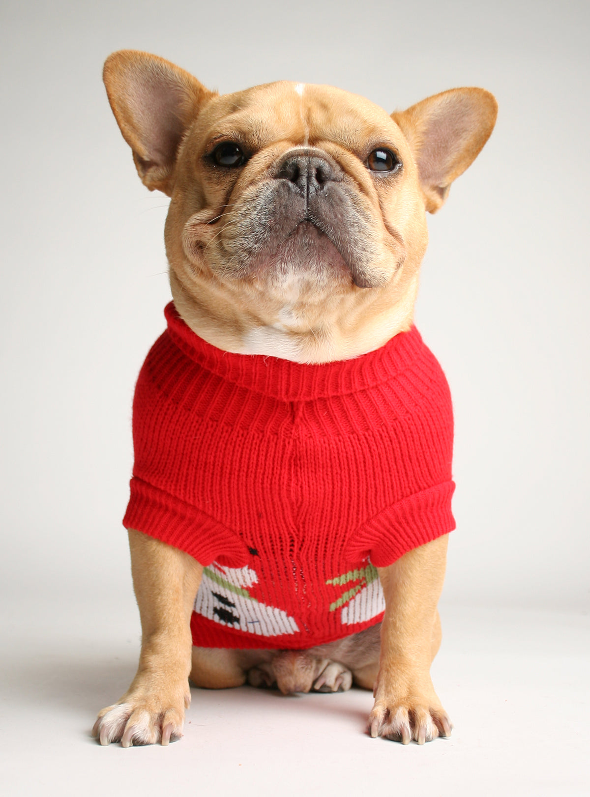 The Frosty Dog Sweater